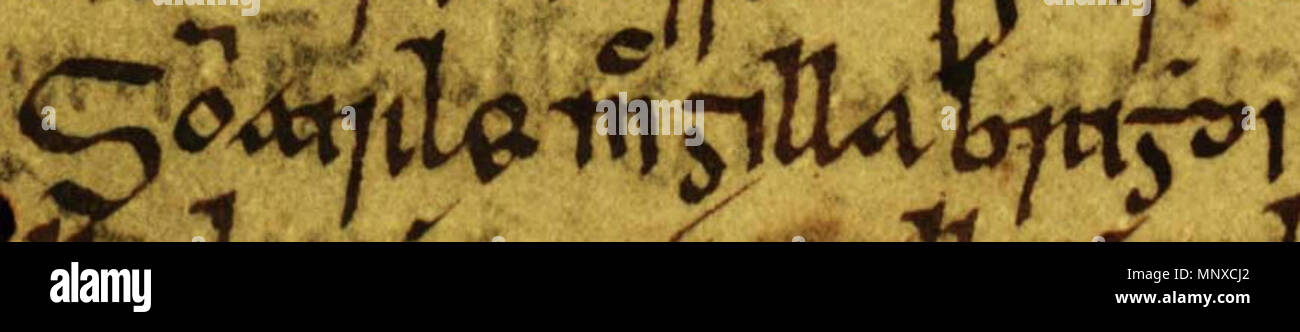 . Englisch: Ein Auszug aus Folio 24v von Oxford Bodleian Library MS Rawlinson B 488 (Geschichte der Tigernach). Der Auszug bezieht sich auf Somairle mac Gilla Brigte, König der Inseln (gestorben 1164). Der Auszug liest der omairle mac Gilla Brighdi'. Zwischen dem 14. und 17. Jahrhundert. Unbekannt 1131 Brigte Somairle mac Gilla (Oxford Bodleian Library MS Rawlinson B 488, Folio 24v) Stockfoto