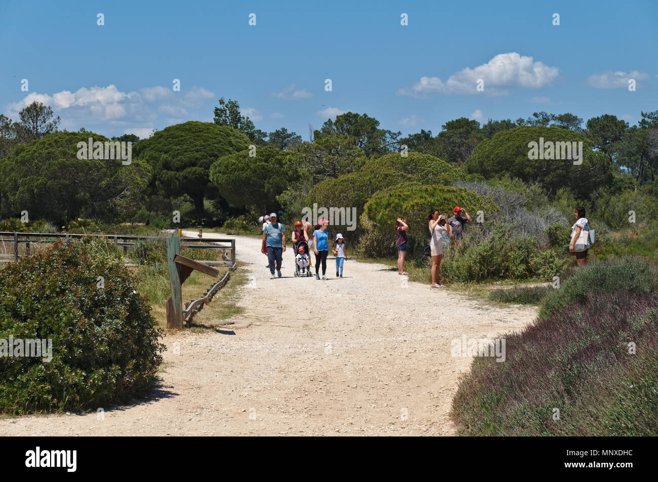 Touristen, die in den Naturpark Ria Formosa in Olhão. Algarve, Portugal Stockfoto