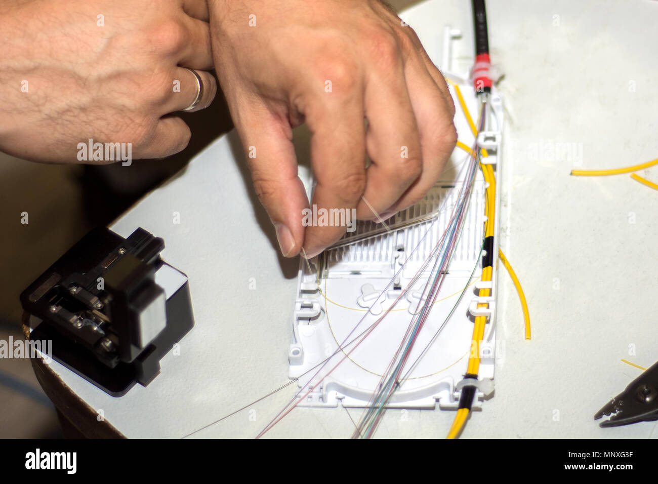 Techniker setzen Sie optische Kabel und Draht in LWL-Kabelbaumverzweigung zu schließen. Bis, selektive konzentrieren. Modernes und schnelles Internet und Netzwerk Konzept Stockfoto