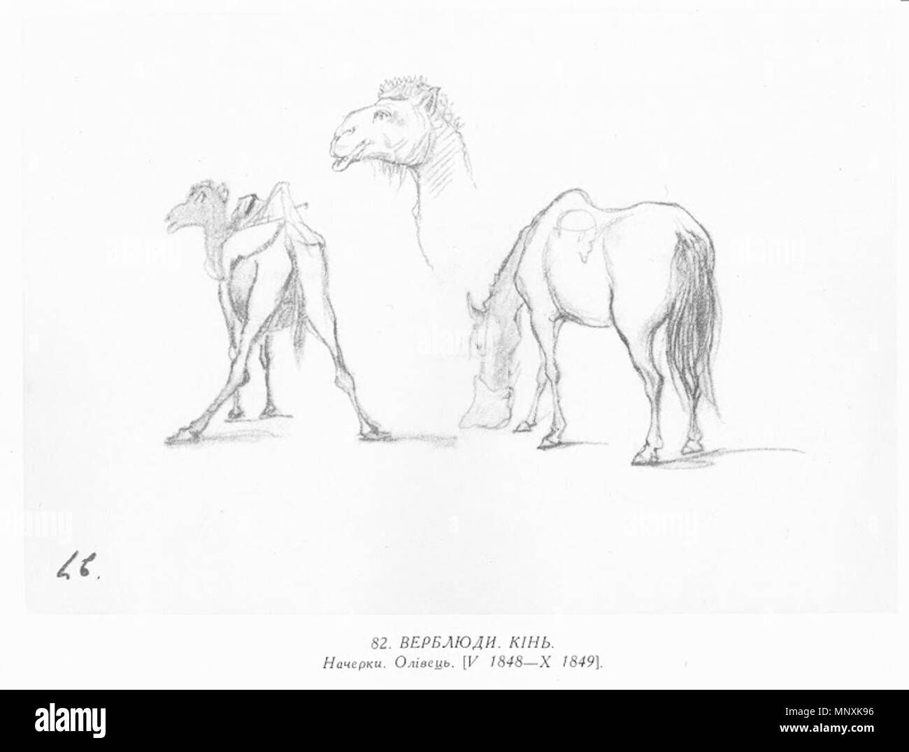 . Englisch: Malerei von Taras Schewtschenko. zwischen 1846 und 1850. Taras Schewtschenko (1814-1861) Alternative Namen Tarass Chevtchenko Beschreibung ukrainischen Dichter und Maler Geburtsdatum / Tod vom 9. März 1814 (25. Februar 1814 im Julianischen Kalender) vom 10. März 1861 (26. Februar 1861 im Julianischen Kalender) Ort der Geburt / Todes Moryntsi Saint Petersburg Authority control: Q 134958 VIAF: 71436235 ISNI: 0000 0001 2281 6674 ULAN: 500121072 79119044 LCCN: n NLA: 35496132 WorldCat 1162 Taras Schewtschenko Malerei 0082 Stockfoto