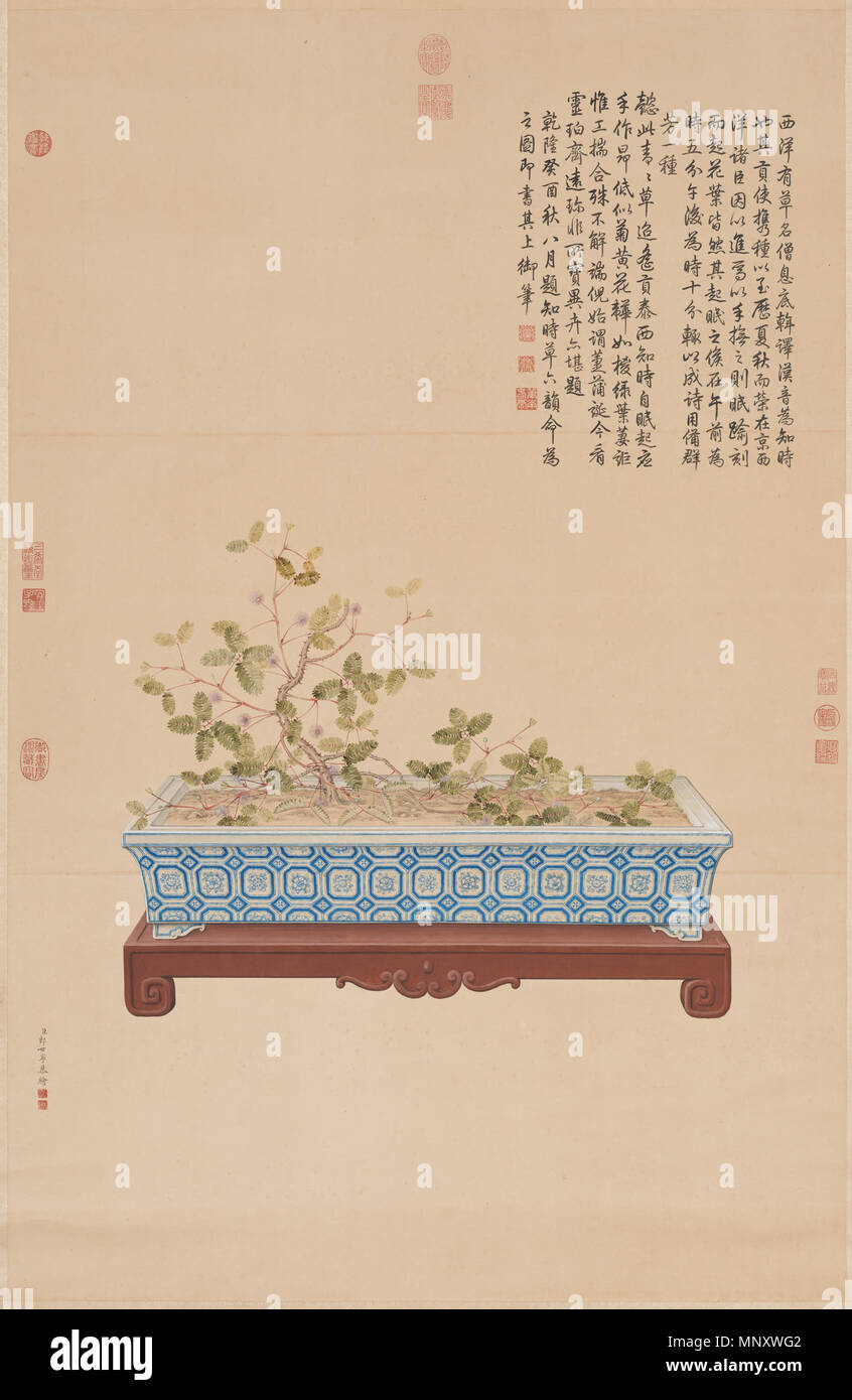 Englisch: Time-Telling Pflanze aus dem Westen 中文: 畫海西知時草 軸 1753. 1193 Time-Telling Pflanze aus dem Westen Stockfoto