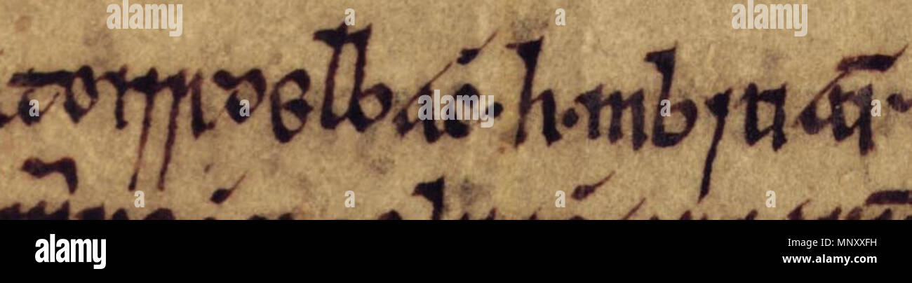 . Englisch: Ein Auszug aus Folio 18v von Oxford Bodleian Library MS Rawlinson B 488 (Geschichte der Tigernach): 'Toirrdelbach h-Úa m - Briain". Der Auszug bezieht sich auf Toirdelbach Ua Briain, König von Munster (gestorben 1086). Zwischen dem 14. und 17. Jahrhundert. Unbekannt 1198 Toirdelbach Ua Briain (Oxford Bodleian Library MS Rawlinson B 488, Folio 18v) Stockfoto