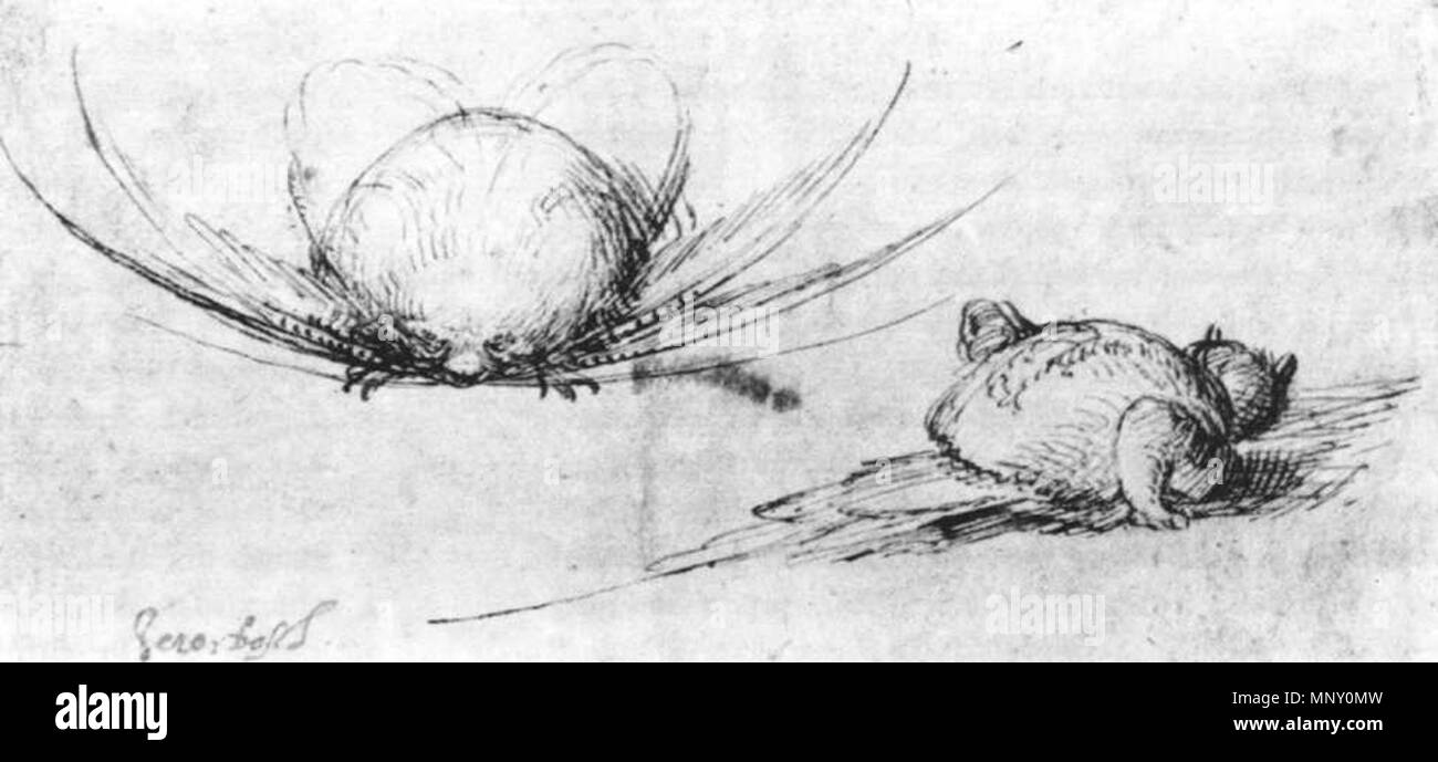 Zwei Monster. Vor einer beidseitigen Zeichnung. Für den Rückwärtsgang, siehe Datei: StudyofMonsters.jpg. zwischen 1465 und 1516. 1209 Tweemonsters Stockfoto