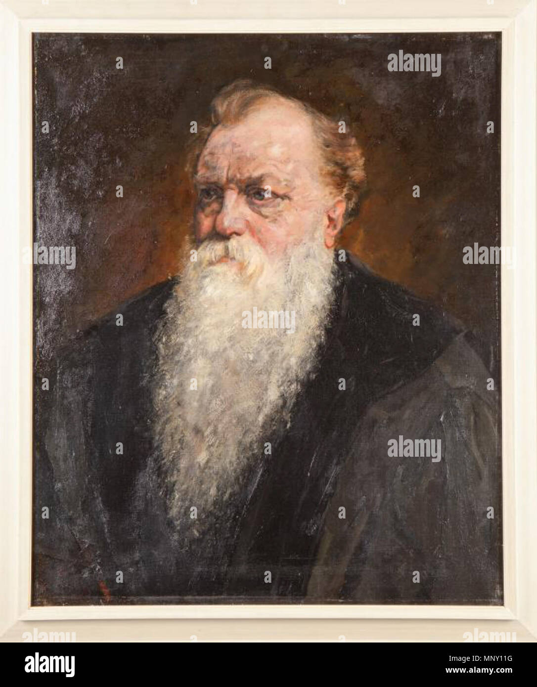 . Englisch: teunis Zaayer (1837-1902), Professor für Anatomie an der Universität Leiden. Vor 1905. Menso Kamerlingh Onnes (1860-1925) 1210 TZaayer Stockfoto