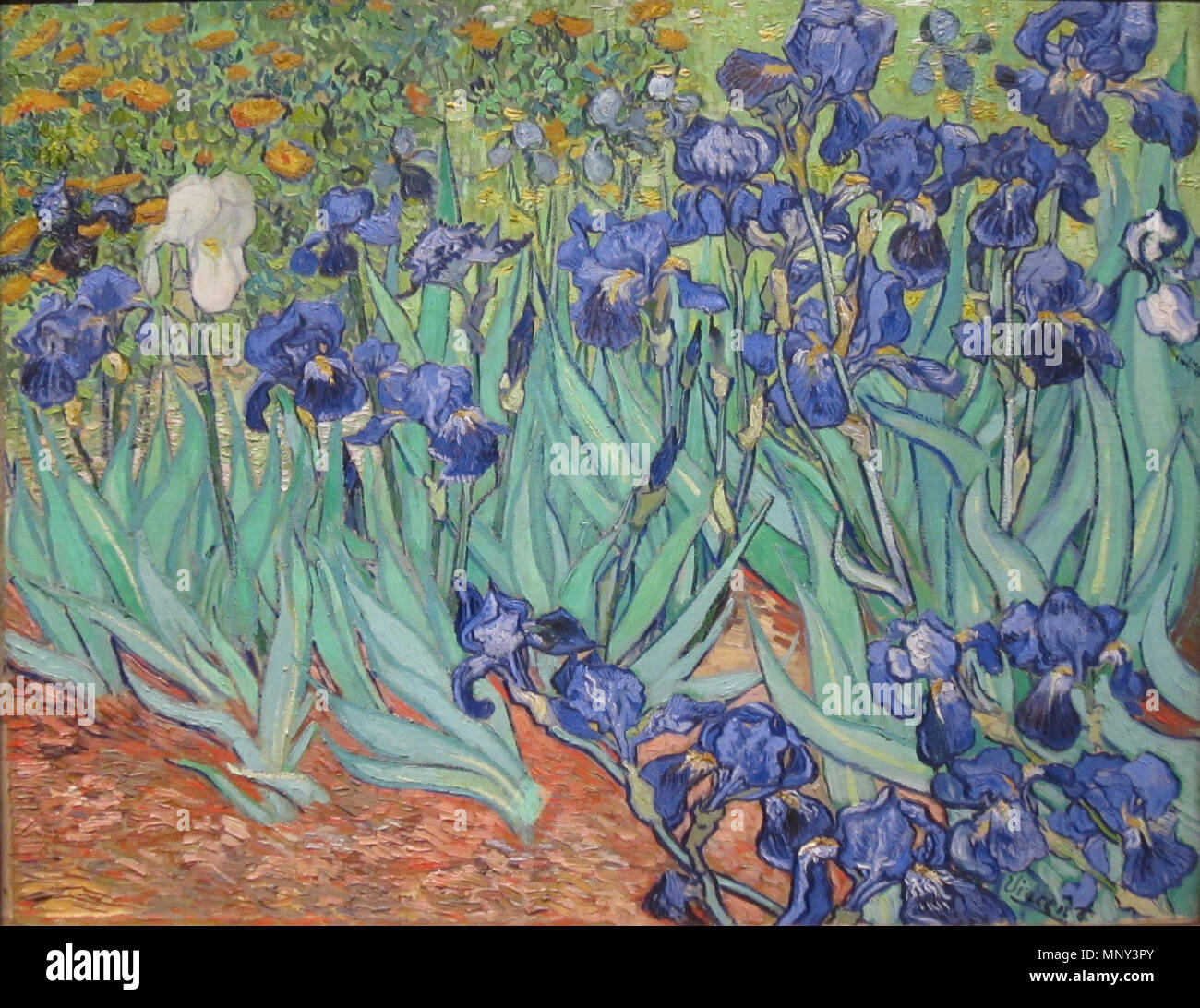 Englisch: Iris 中文: 蓋提美術館中收藏的梵谷名畫 《 鳶尾花》 Mai 1889. 1223 Iris von Vincent Van Gogh in GettyCenter Stockfoto