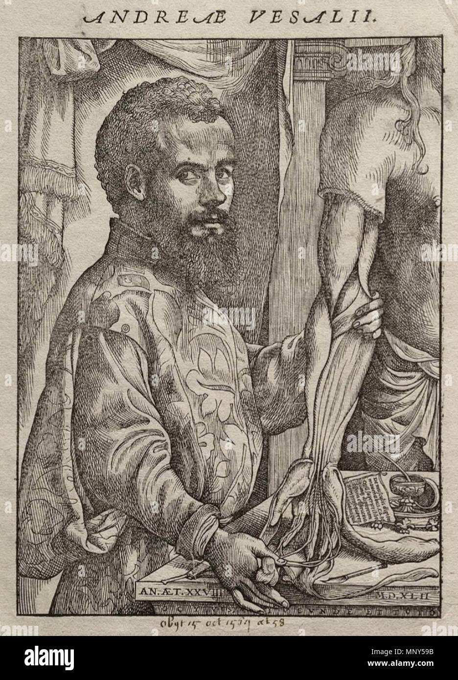 . Portrait von Vesalius von seinem De Humani Corporis Fabrica. 1543. Zu Jan van Calcar (um 1499-1546/1550) Alternative Namen Giovanni da calcar, Johannes Stephan van Calcar, Jan van Calcar, Joannes Stephanus Calcarensis Beschreibung Flemish-German Maler, Zeichner und Grafiker Geburtsdatum / Tod ca. 1499 zwischen 1546 und 1550 Ort der Geburt / Todes Kalkar Neapel Arbeitsort Venedig (1536-1537), Neapel (ca. 1545-1546) Kontrolle: Q 1397369 VIAF: 47034805 ISNI: 0000 00010896 5577 ULAN: 500026055 LCCN: n 94115763 WGA: CALCAR, Jan Steven van WorldCat 123 zugeschrieben Stockfoto