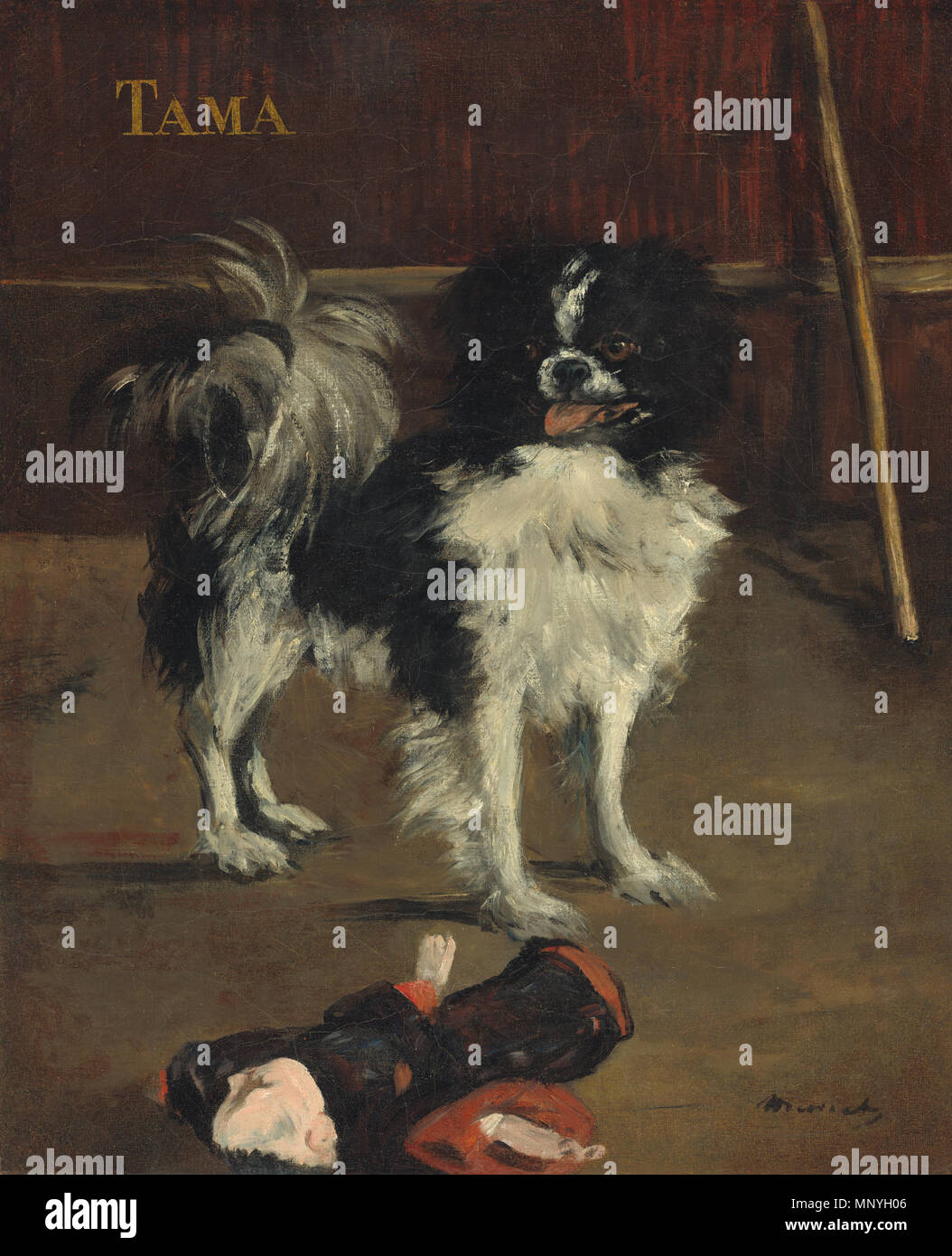 Malerei; Öl auf Leinwand; insgesamt: 61 x 50 cm (24 x 19 11/16 in.) gerahmt: 87 x 75,9 x 8,9 cm (34 1/4 x 29 7/8 x 3 1/2 in.); Tama, die Japanischen Hund 1289 Édouard Manet - TAMA Stockfoto