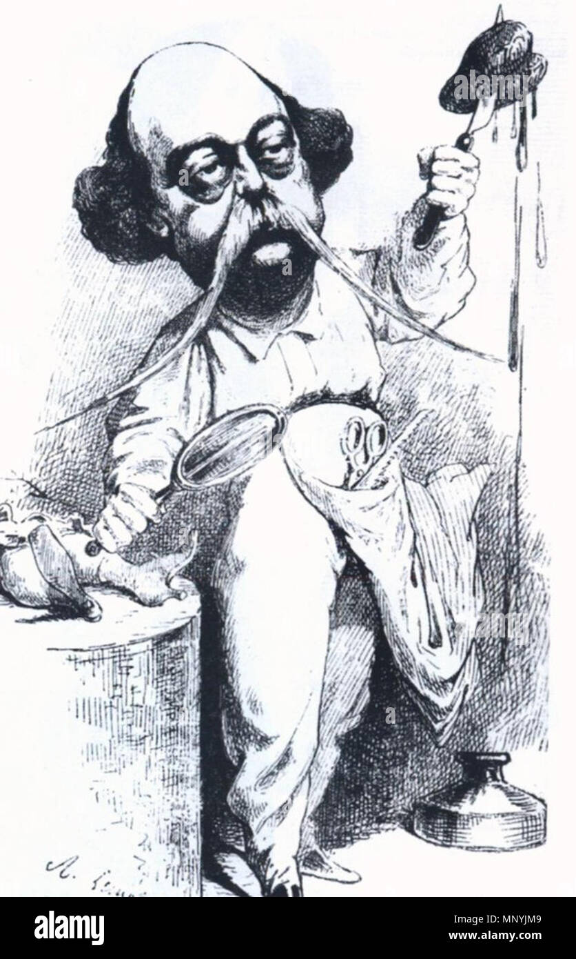 1297 Карикатура на Флобера Stockfoto