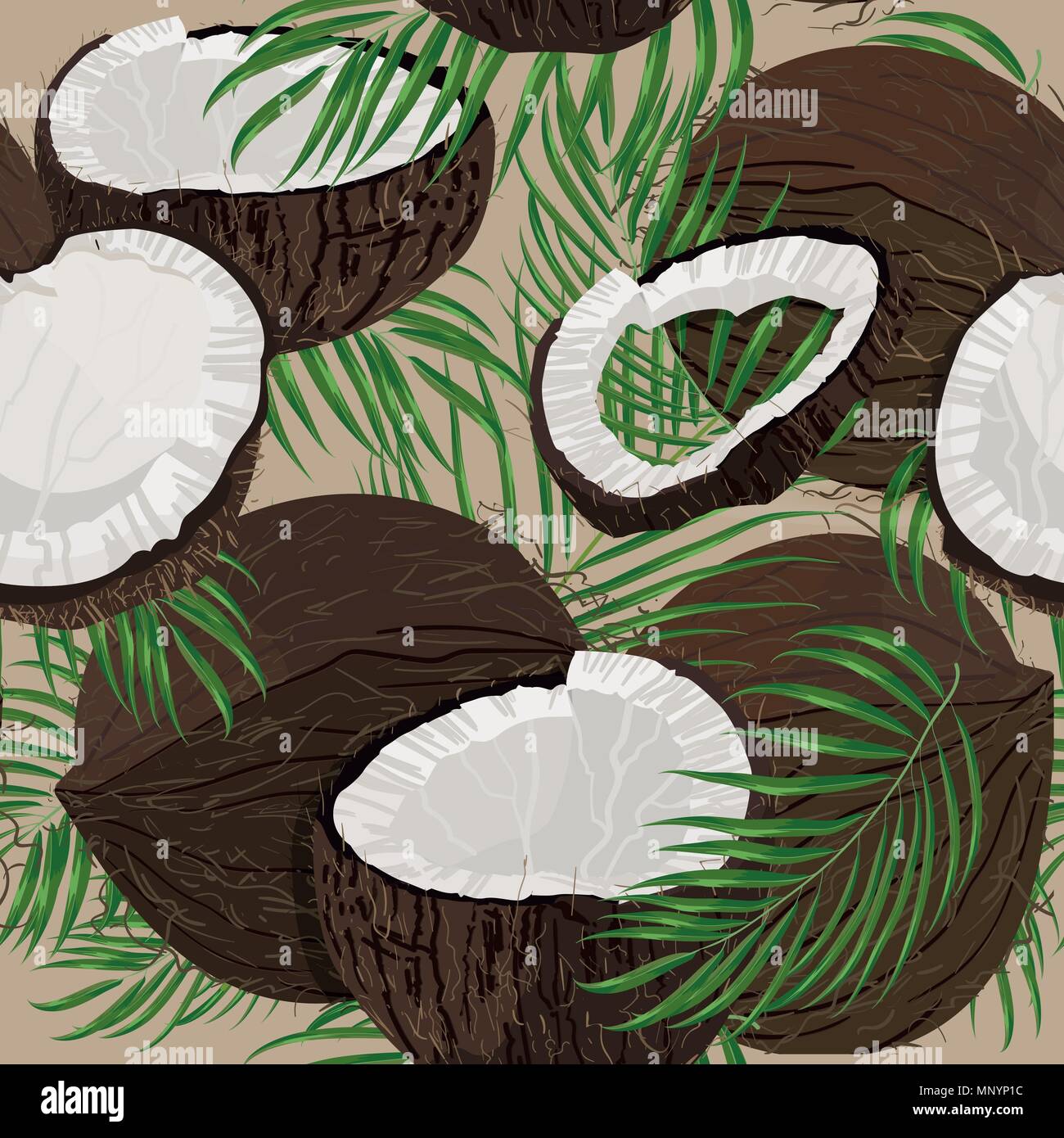 Kokosnuss, ganze Stücke mit Palmblättern auf weißem Hintergrund. Bunte botanischen vector Abbildung. Vintage tropic Design Stock Vektor