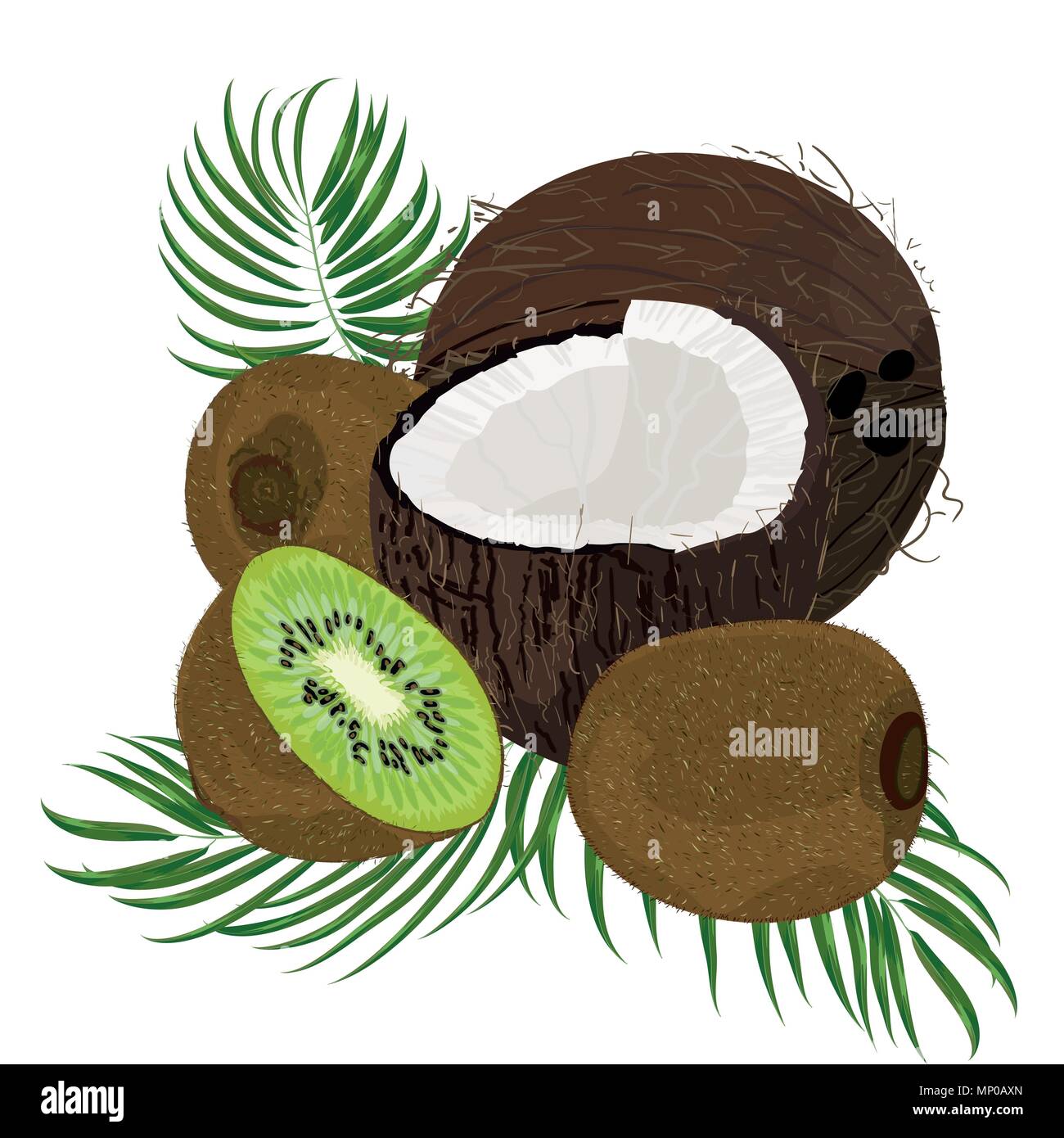 Kiwi, Banane, Kokosnuss, ganze Stücke mit Palmblättern auf weißem Hintergrund. Bunte botanischen vector Abbildung. Vintage tropic Design Stock Vektor