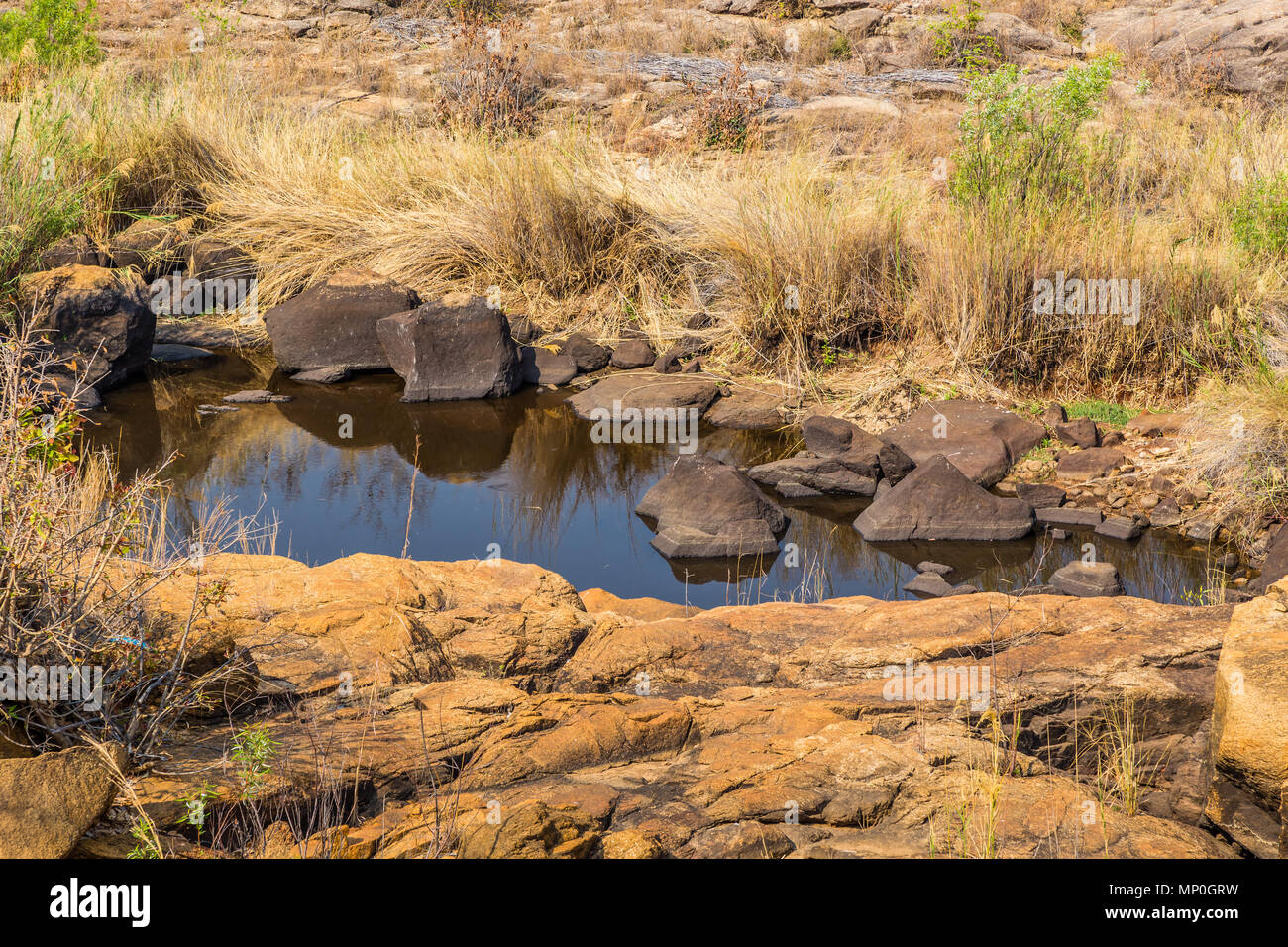 Pool von Wasser zwischen den Felsen, in Matobo Nationalpark, Simbabwe. September 26, 2016. Stockfoto