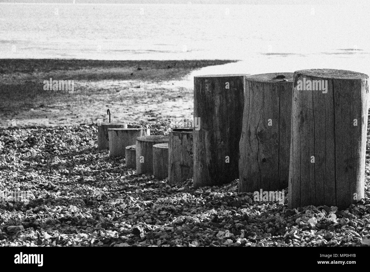 Buhnen am Strand ragen aus der Schindel Stockfoto