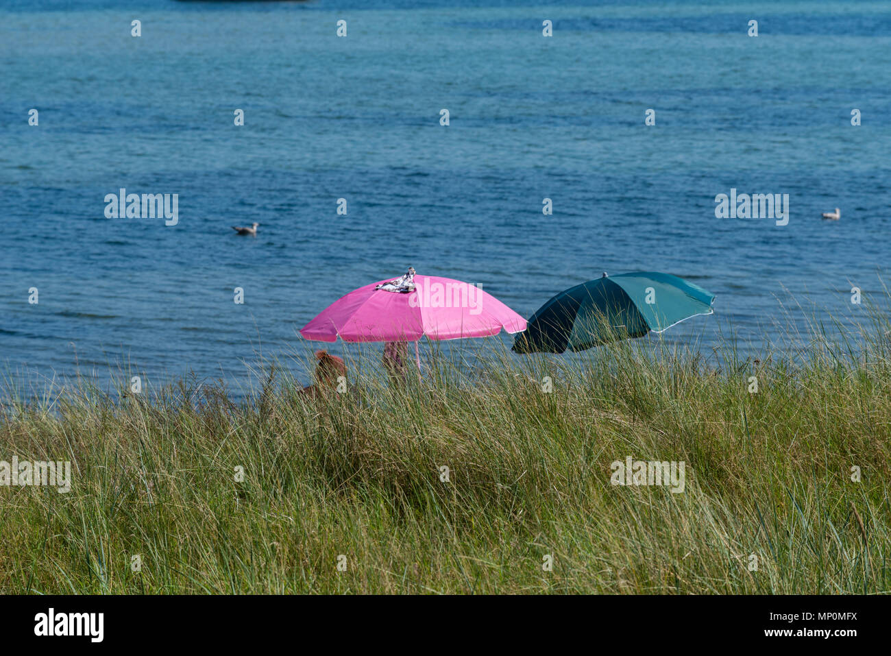 Entspannen an einem heißen Sommertag am Strand "Falkensteiner Strand, Kieler Förde, Kiel, Deutschland, Stockfoto