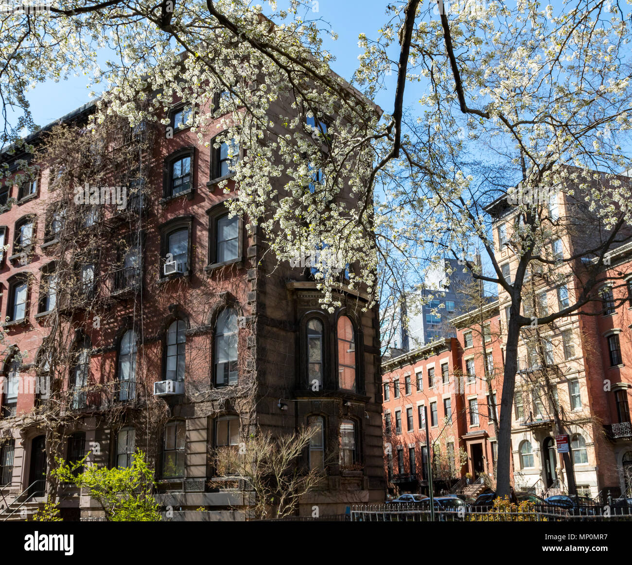 Bunte Feder Szene im East Village in New York City mit historischen Gebäuden auf Stuyvesant Straße Stockfoto