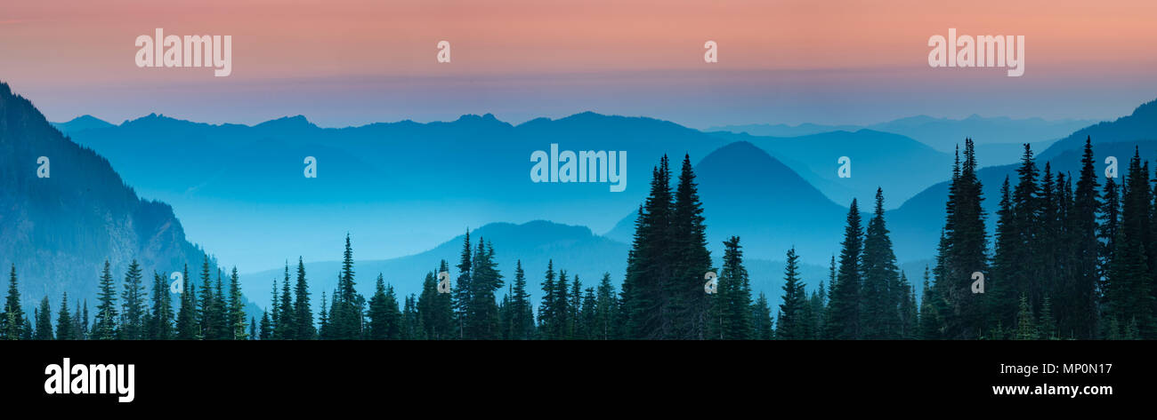 Blaue Stunde nach Sonnenuntergang über der Cascade Mountains im Mount Rainier National Park, Washington. Stockfoto
