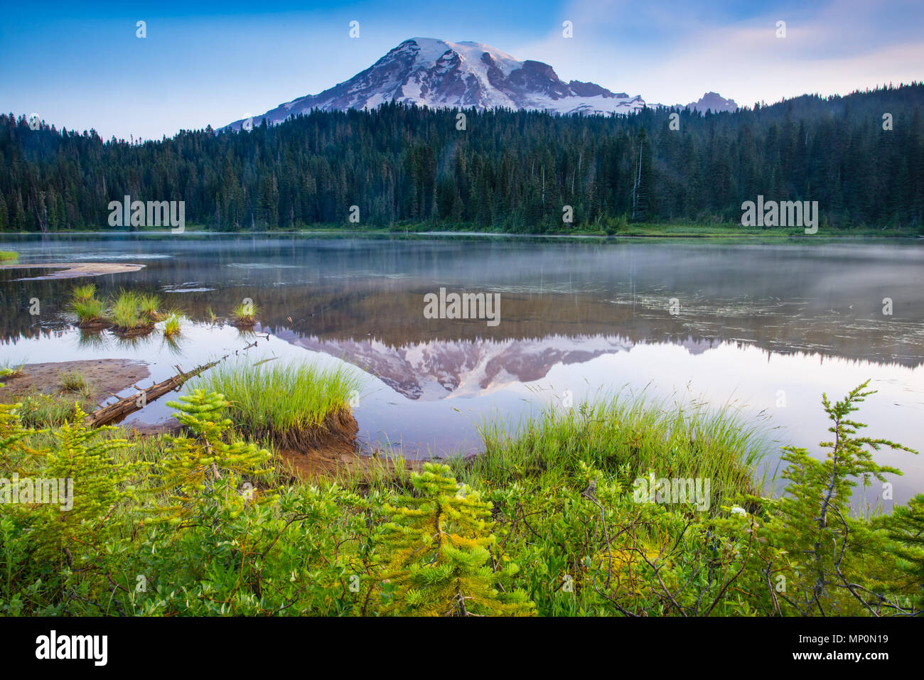 Morgen an der Reflexion Seen im Mount Rainier National Park Stockfoto