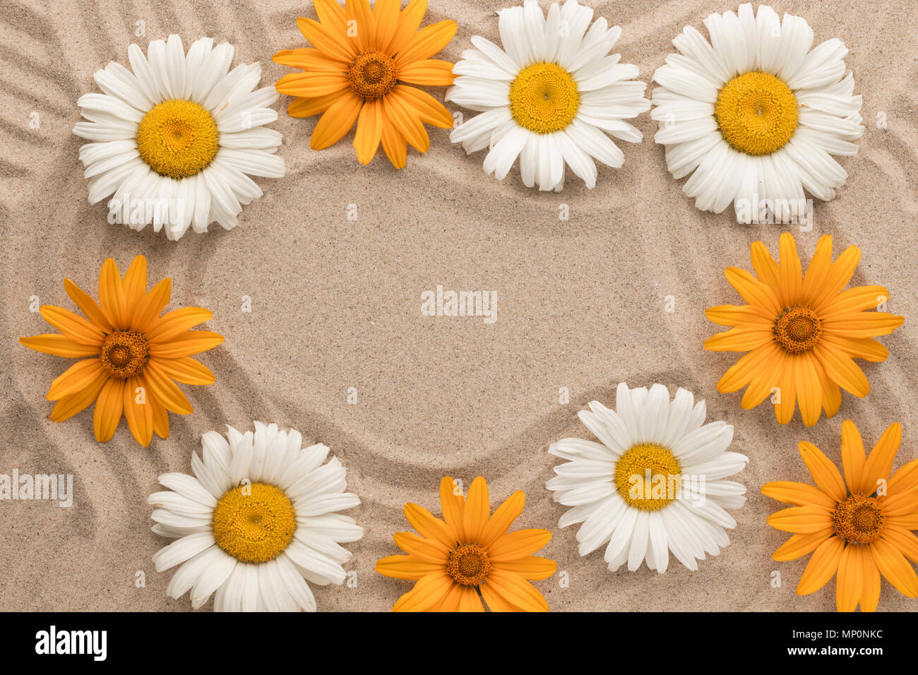 Schönen Rahmen von Blumen und Sand. Blumen und Linien auf dem Sand Stockfoto