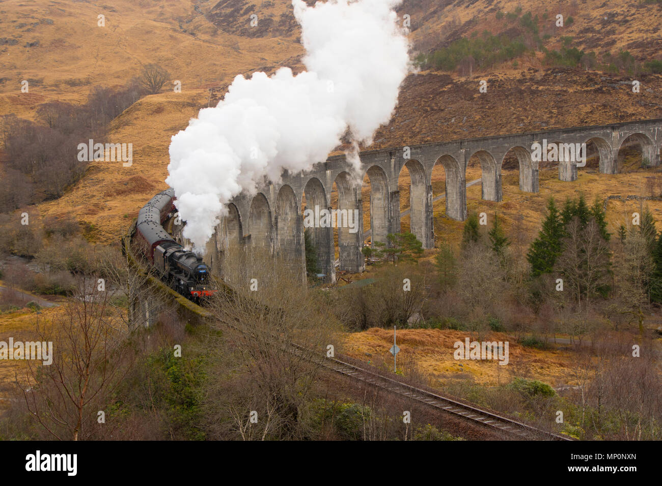 Glenfinnan Viadukt und Dampf Zug Stockfoto