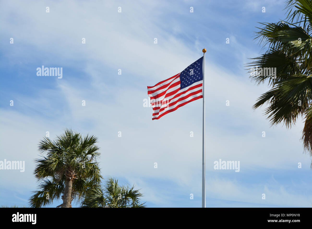 USA-Flagge Florida Stockfoto