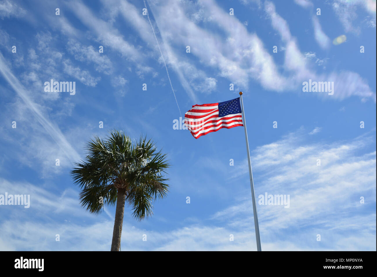 USA-Flagge Florida Stockfoto