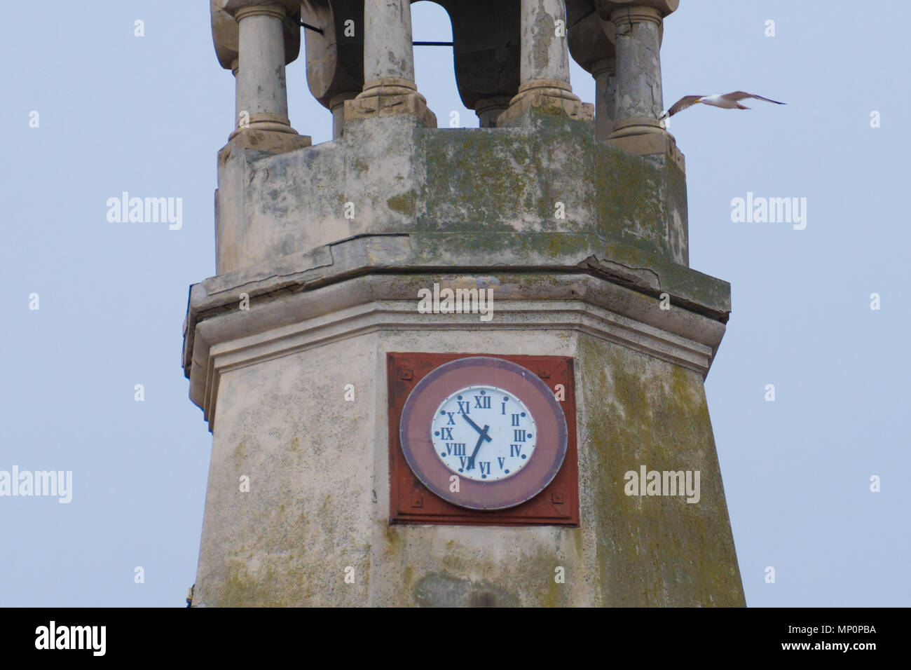 Möwe fliegen über historischen Turm Stockfoto