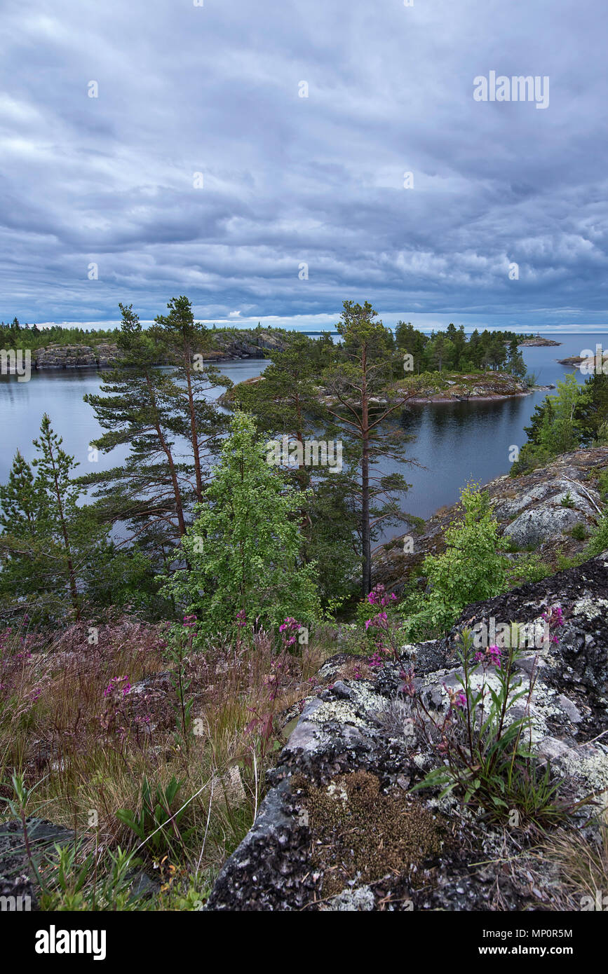 Sehr detaillierte typische Ladoga See Landschaft als von der Spitze des kleinen Berges gesehen. Bunte Felsen sind mit bunten Blumen und schweren Clo kombiniert Stockfoto