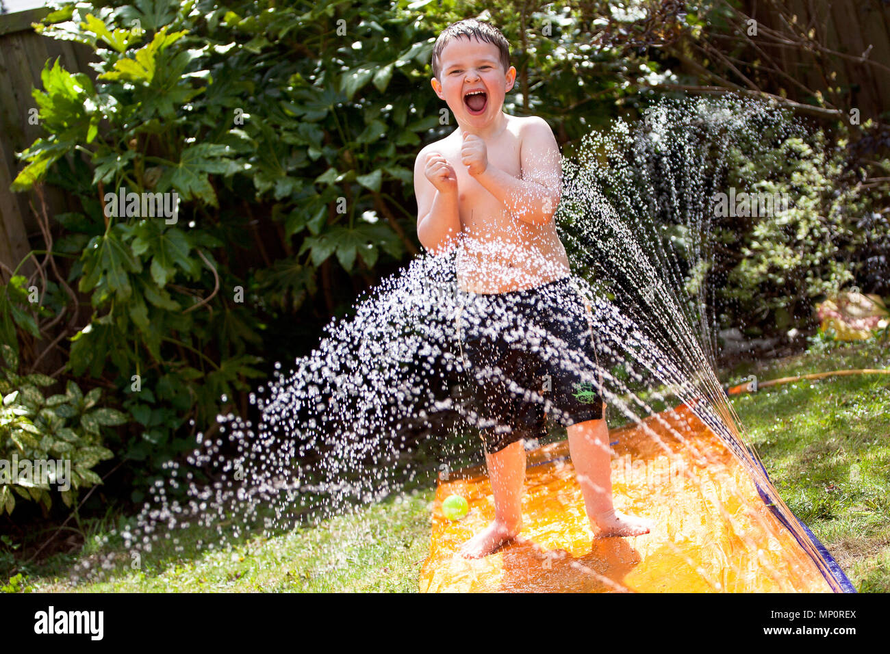 Jungen spielen mit Wasser Sprinkler im Garten auf der Rückseite Stockfoto