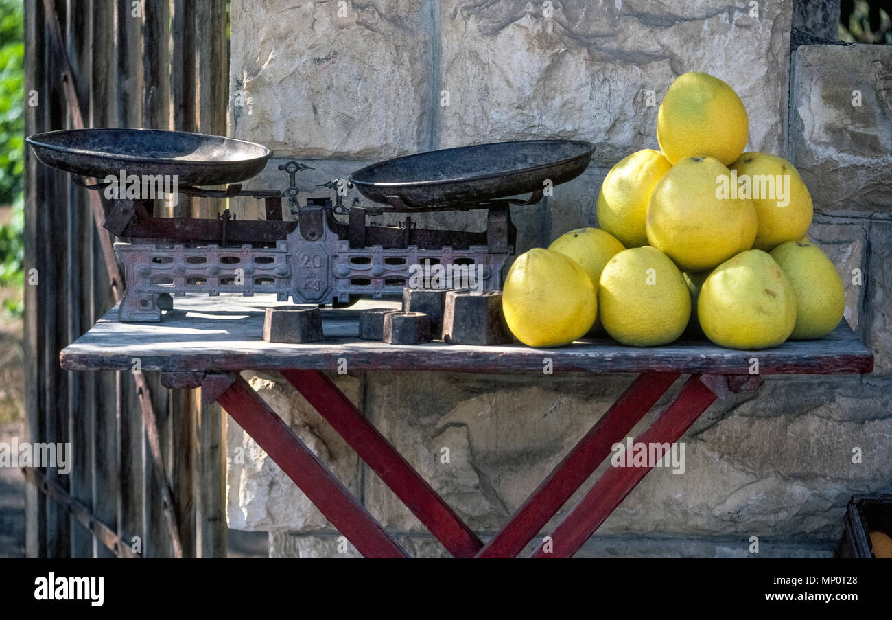 Eine Nahaufnahme eines kleinen Pyramide von frisch gepflückt Grapefruit gestapelt Neben Waagen und warten auf den Verkauf von einem Obst Anbieter stall in Jericho, eine historische Stadt in der West Bank von Palästina, die unter der Kontrolle von Israel ist. Stockfoto