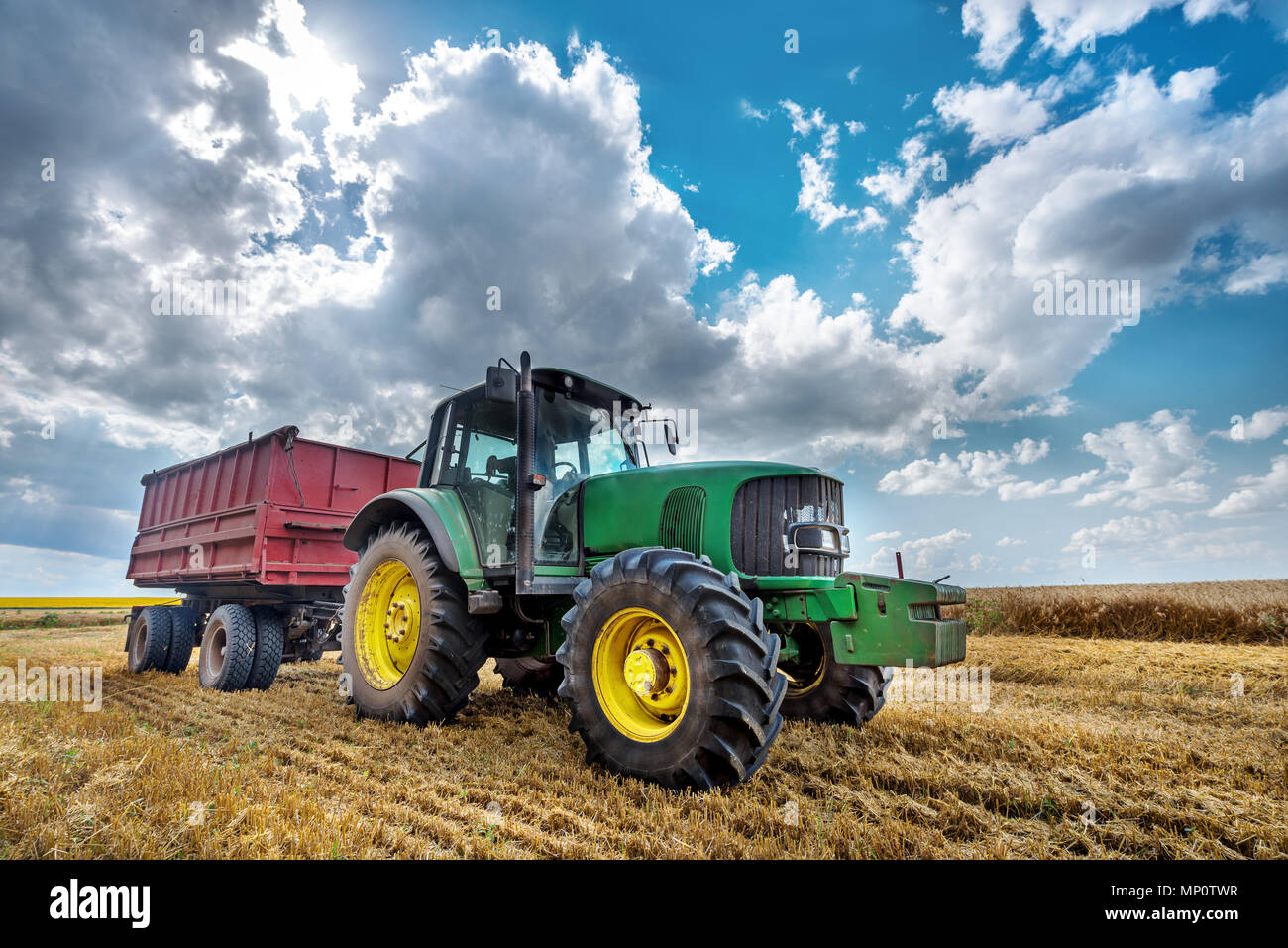 Moderne grüne Traktor auf den landwirtschaftlichen Bereich an sonnigen Sommertag. Stockfoto
