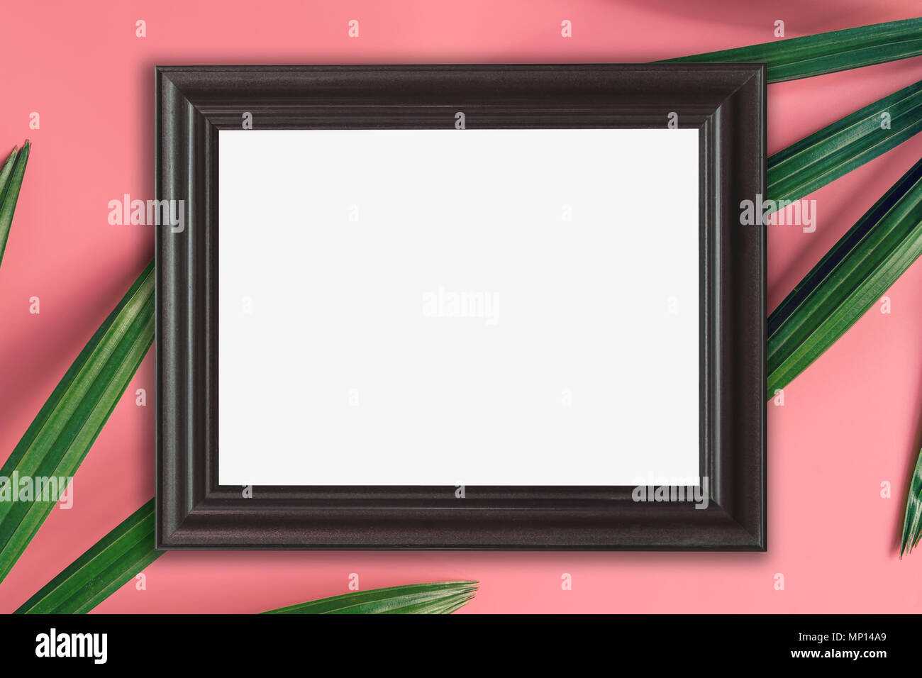 Holzrahmen- und grünes Blatt auf Rosa pastellfarbenen Hintergrund. tropischen Hintergrund. Stockfoto