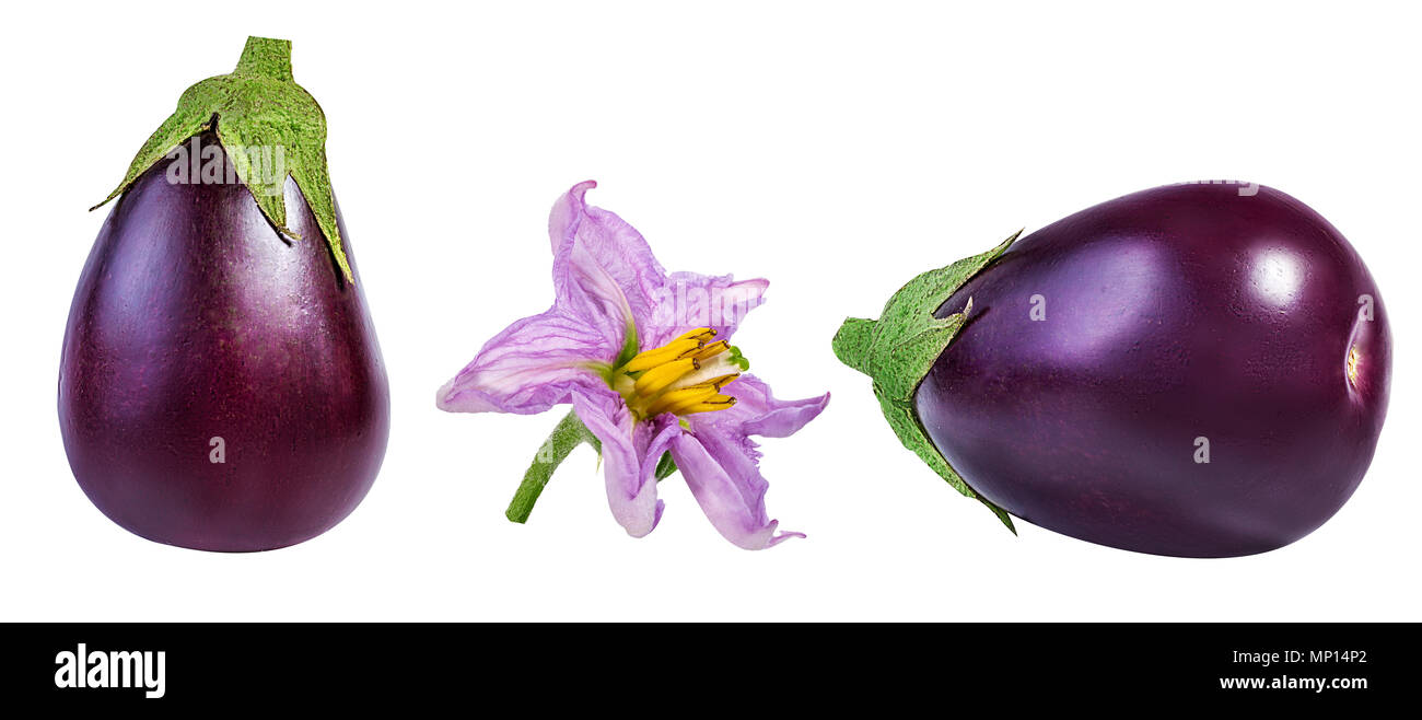Frische Auberginen mit Blumen auf weißem Hintergrund mit Freistellungspfad isoliert Stockfoto