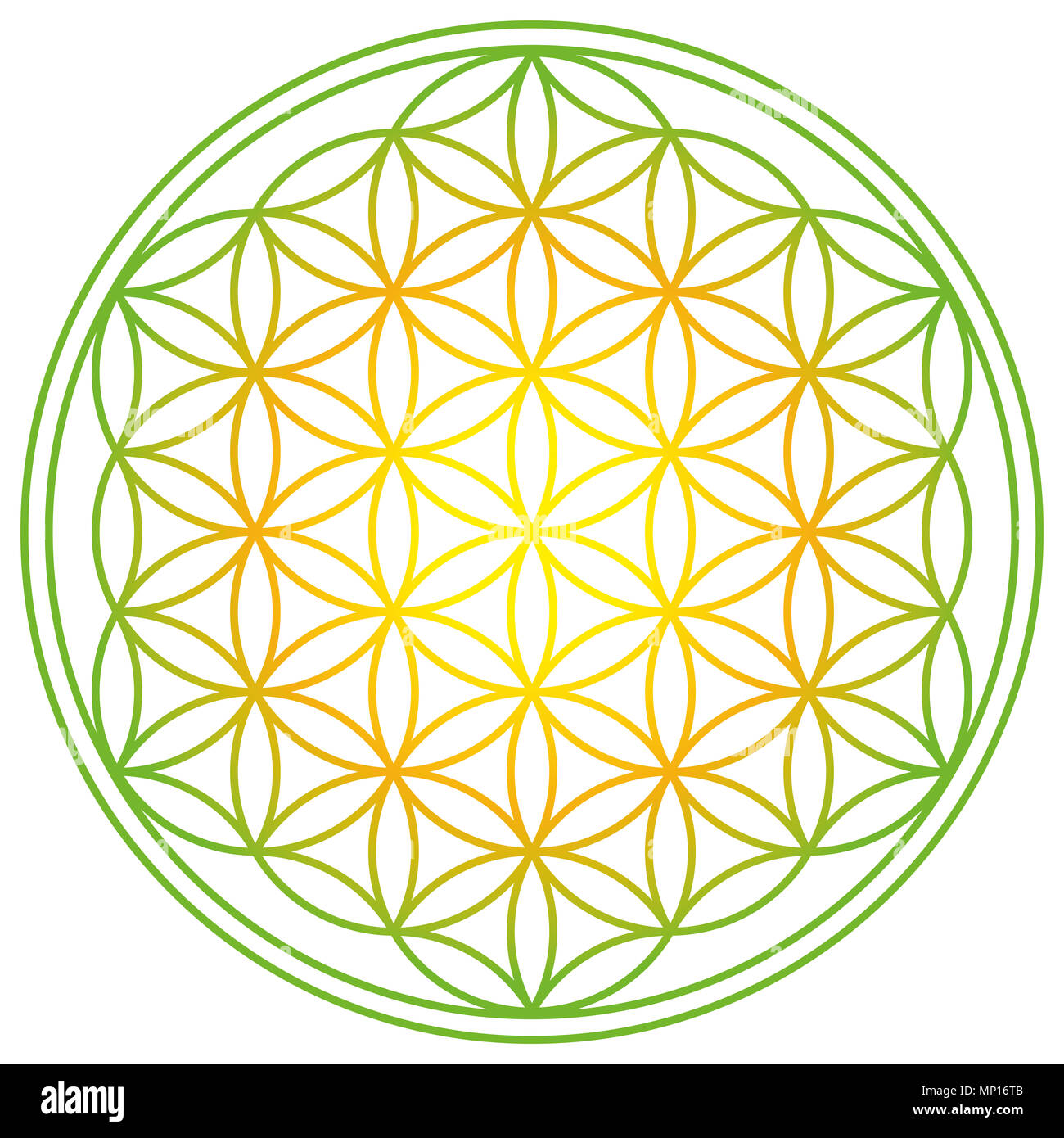 Blume des Lebens mit Feder Energie Farben. Geometrische Figur, spirituelles Symbol und die heilige Geometrie. Überlappende Kreise bilden eine Blume wie Muster. Stockfoto
