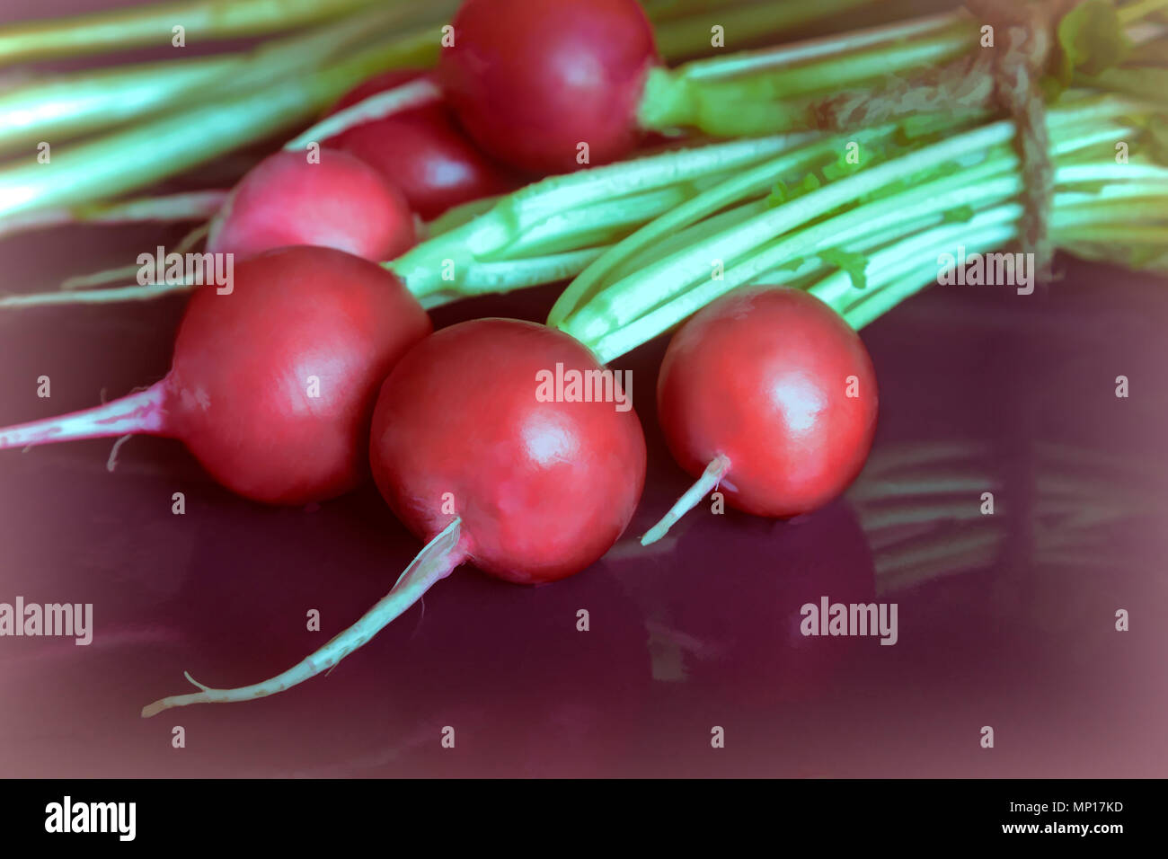 Junge Radieschen mit grünen Blättern. Stockfoto