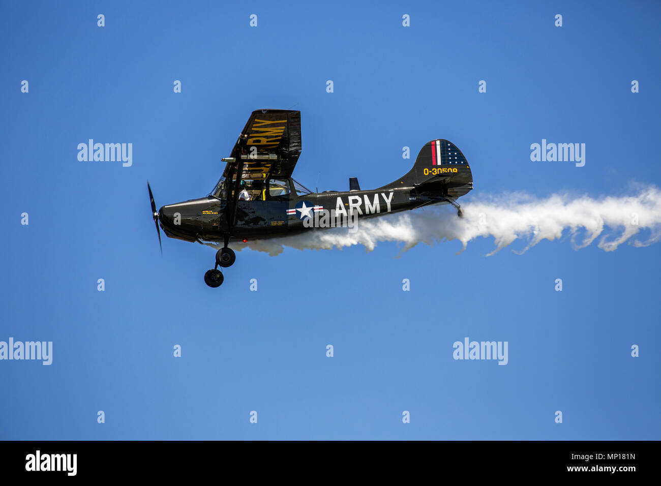 Armee Cessna O-1D/L-19 Bird Dog Light Beobachtungsflugzeug im Central Texas Airshow Stockfoto
