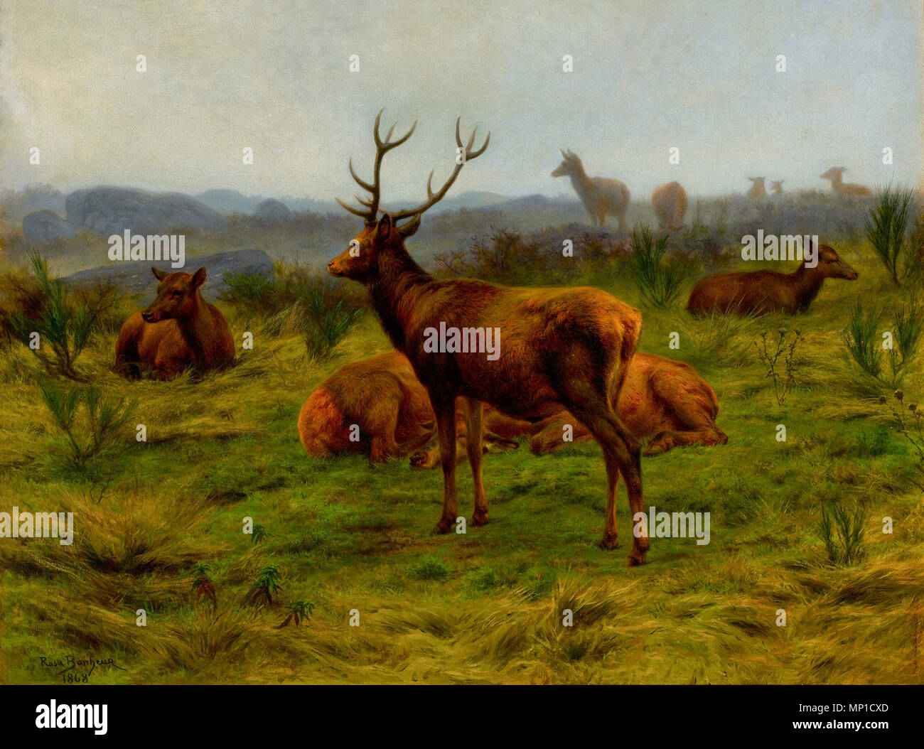 Der Monarch der Herde, Rosa Bonheur, 1868 Stockfoto