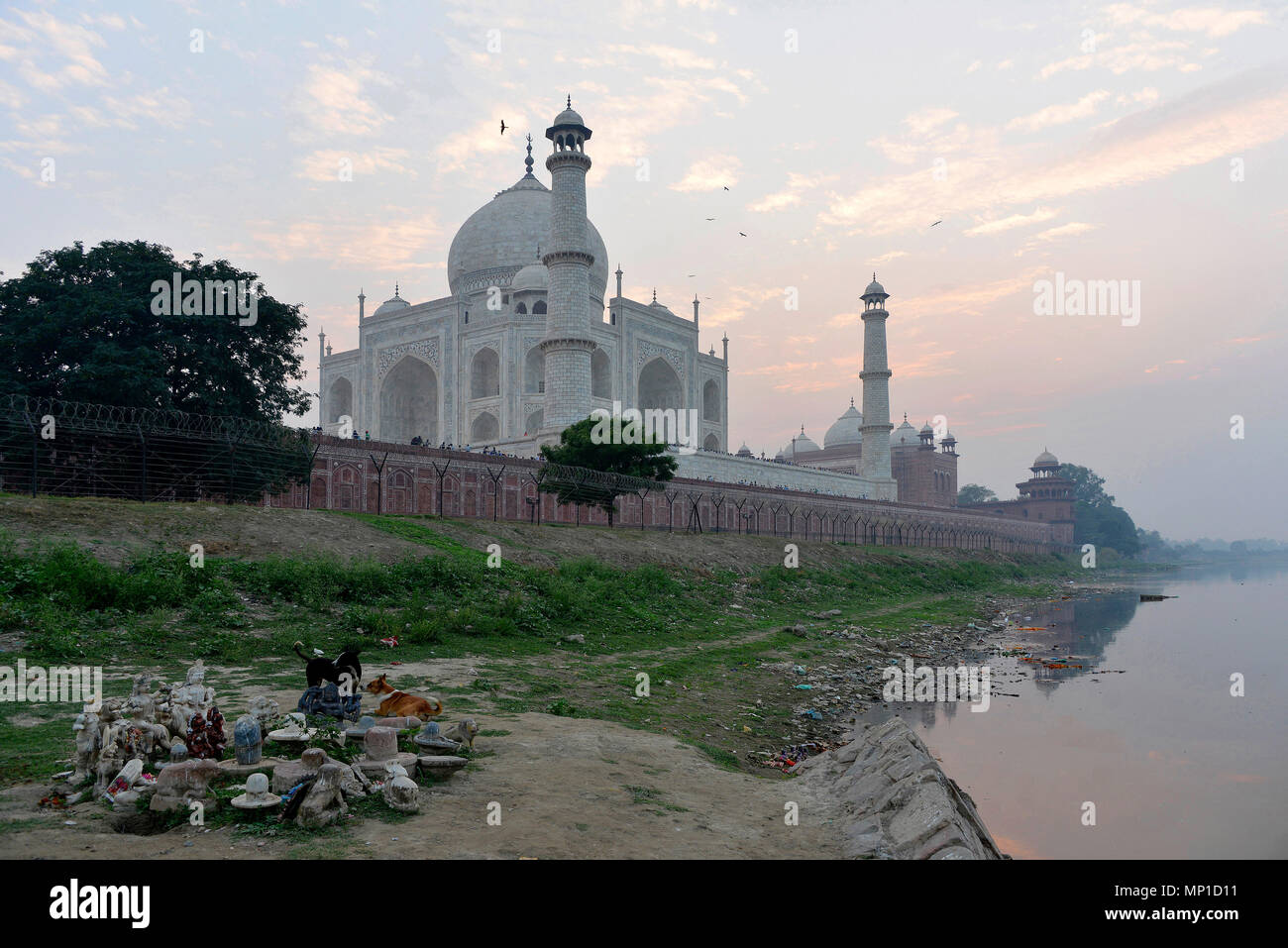 Blick auf das Taj Mahal aus dem Nordosten, Angebote am Ufer des Yamuna Flusses, Āgra, Uttar Pradesh, Indien Stockfoto