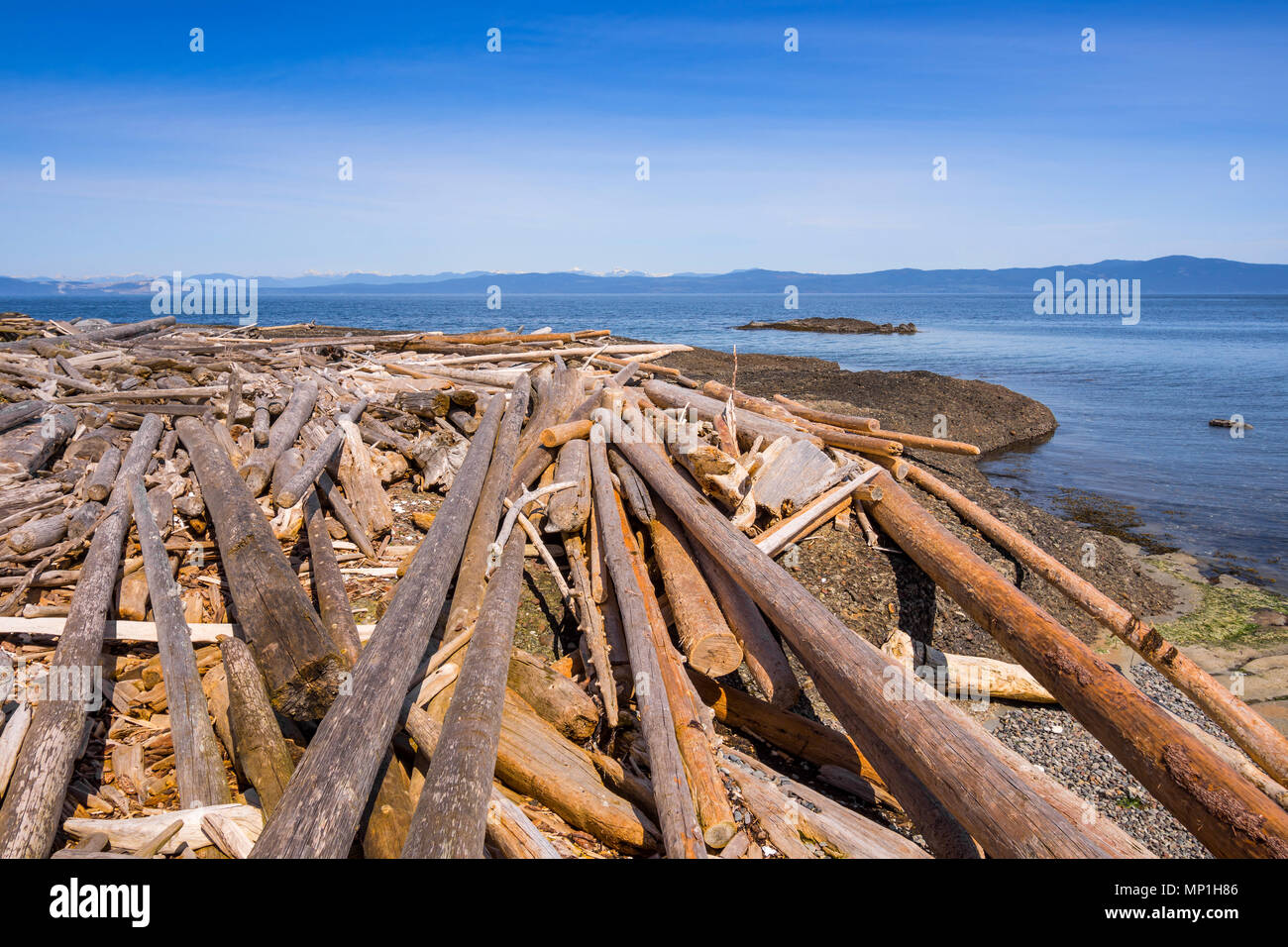 Treibgut am Strand, helliwell Provincial Park, Hornby Island, BC, Kanada. Stockfoto