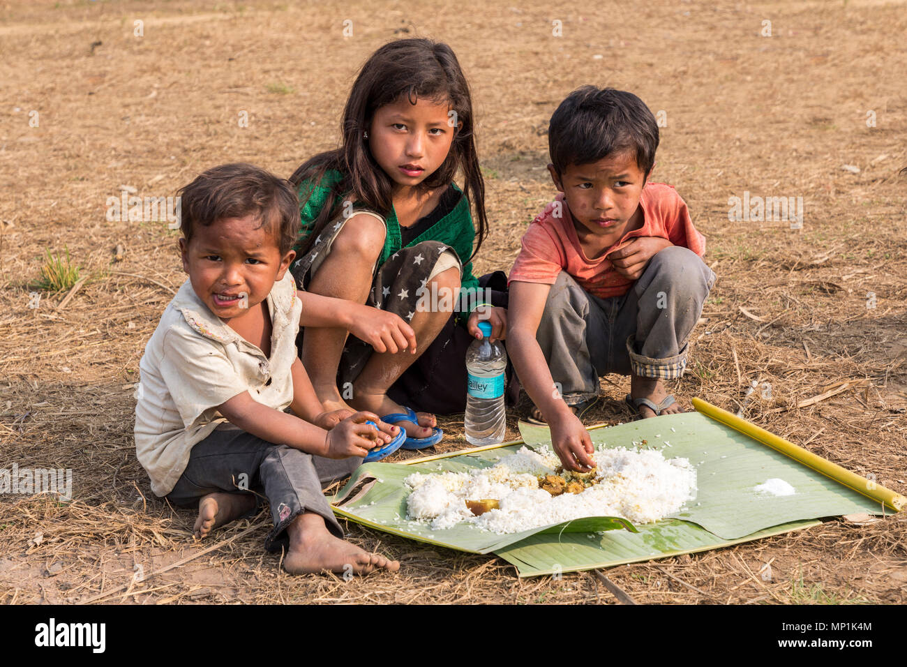 Kinder essen gemeinsames Essen auf dem Boden, Саква, Meghalaya, Indien Stockfoto