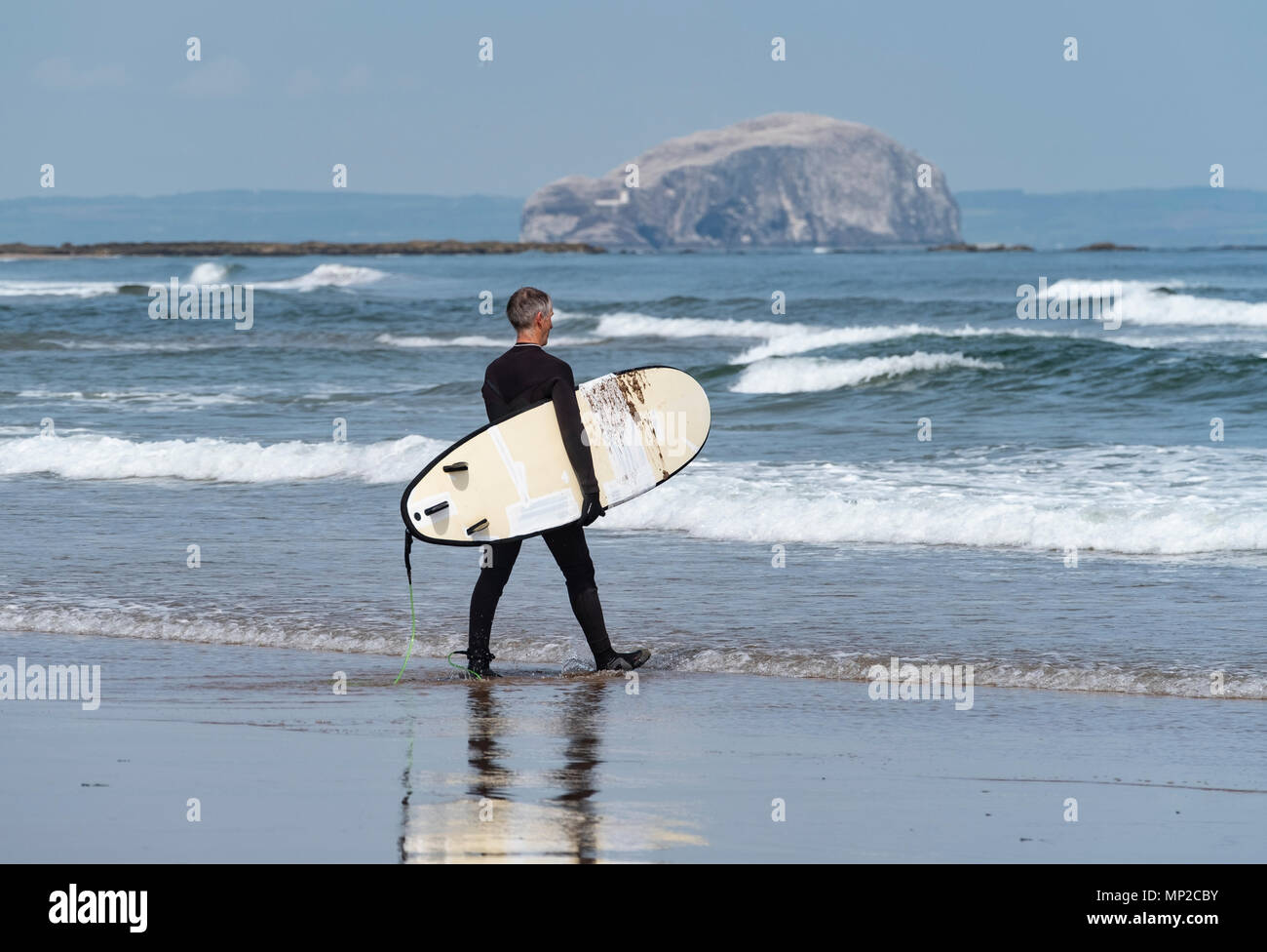 Ältere männliche Surfer trägt Surfbretter zu Meer bei Belhaven Strand, Bass Rock in Distanz, East Lothian, Schottland, Vereinigtes Königreich Stockfoto