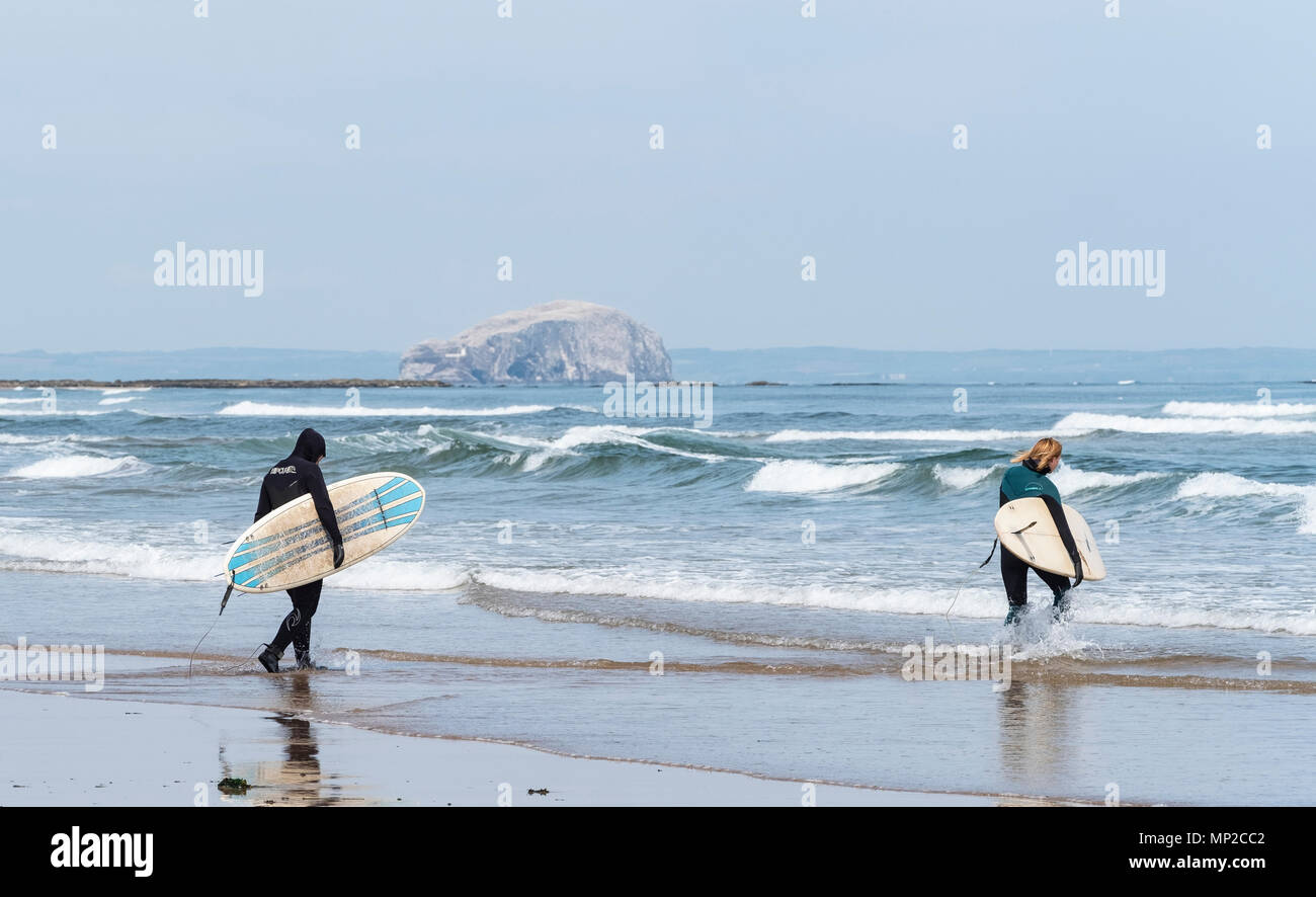 Surfer tragen Surfbretter zu Meer bei Belhaven Strand, Bass Rock in Distanz, East Lothian, Schottland, Vereinigtes Königreich Stockfoto