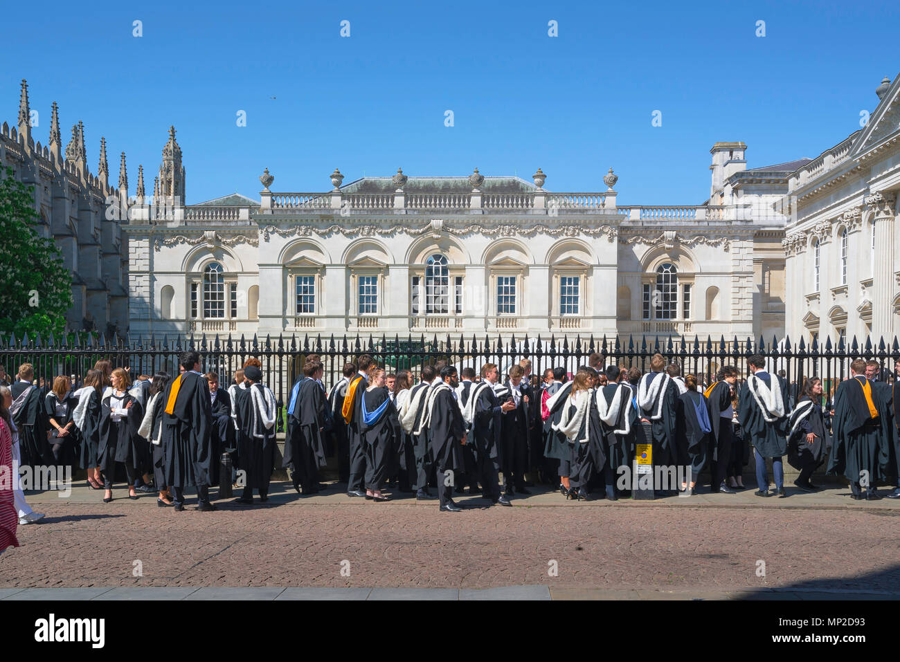 Studierende Promotion UK, Diplomanden der Universität Cambridge Line up außerhalb des Senats Haus vor der Eingabe ihrer Grad, England zu erhalten. Stockfoto