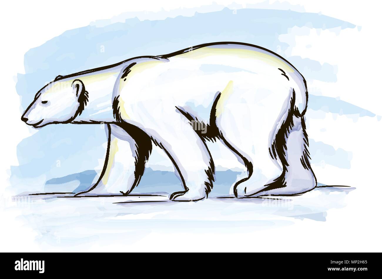 Vektor Wasser Farbe Abbildung: Eisbären in der Arktis Stock Vektor