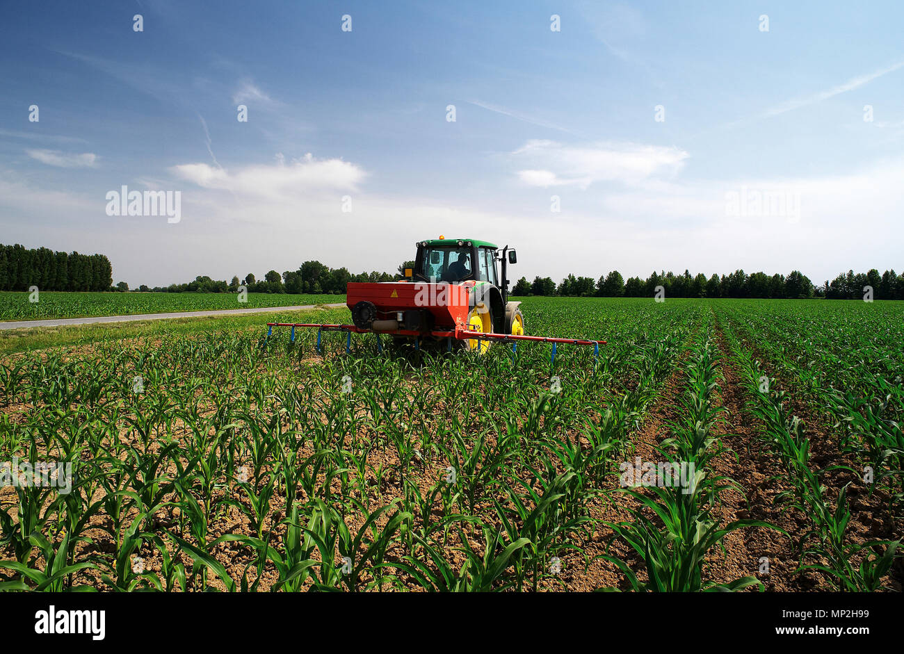 Mais dngung -Fotos und -Bildmaterial in hoher Auflsung  Alamy