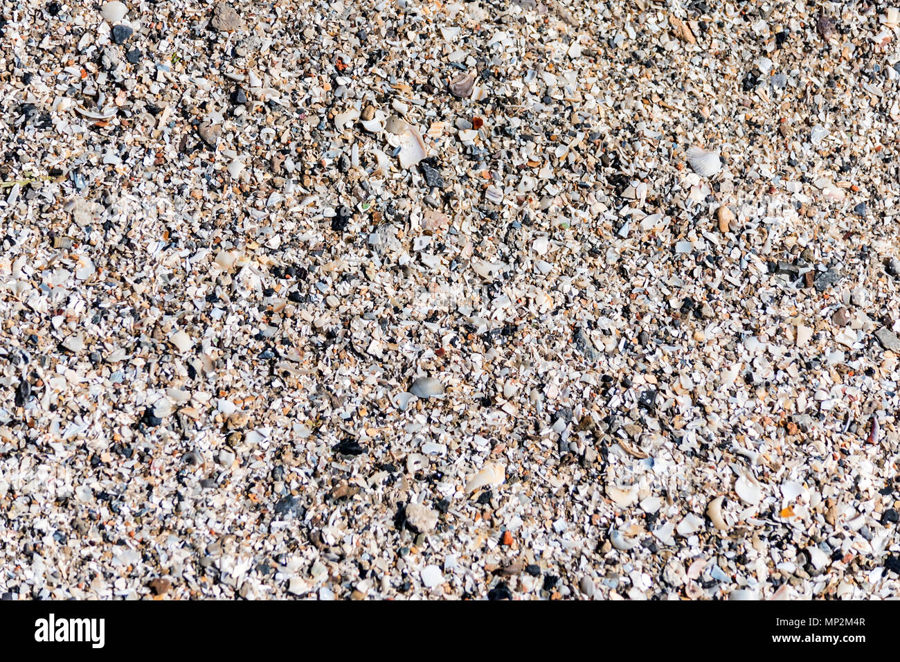 In der Nähe von wunderschönen Hintergrund und Textur der Stücke von Muscheln und Steine auf Sand Strand Stockfoto In der Nähe von wunderschönen Hintergrund und Textur der Stücke von Muscheln und Steine auf Sand Strand Stockfoto