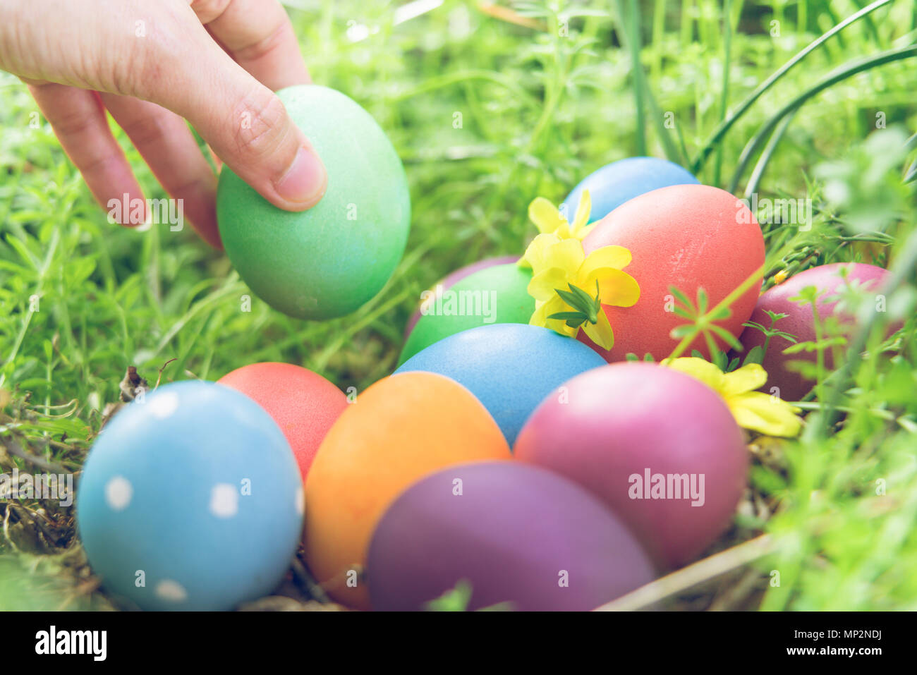 Osterei! Fröhlich bunte Ostern Sonntag Jagd Urlaub Dekorationen Ostern Konzept Hintergründe mit Kopie Raum Stockfoto