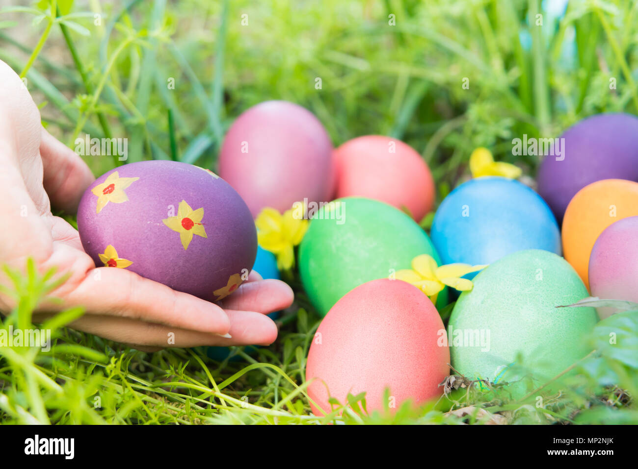 Osterei! Fröhlich bunte Ostern Sonntag Jagd Urlaub Dekorationen Ostern Konzept Hintergründe mit Kopie Raum Stockfoto