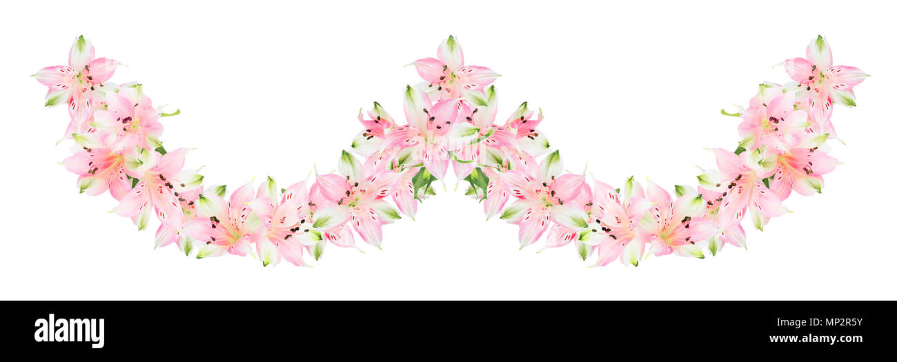 Grenze der rosa Alstroemeria Blumen auf weißem Hintergrund Stockfoto Grenze der rosa Alstroemeria Blumen auf weißem Hintergrund Stockfoto