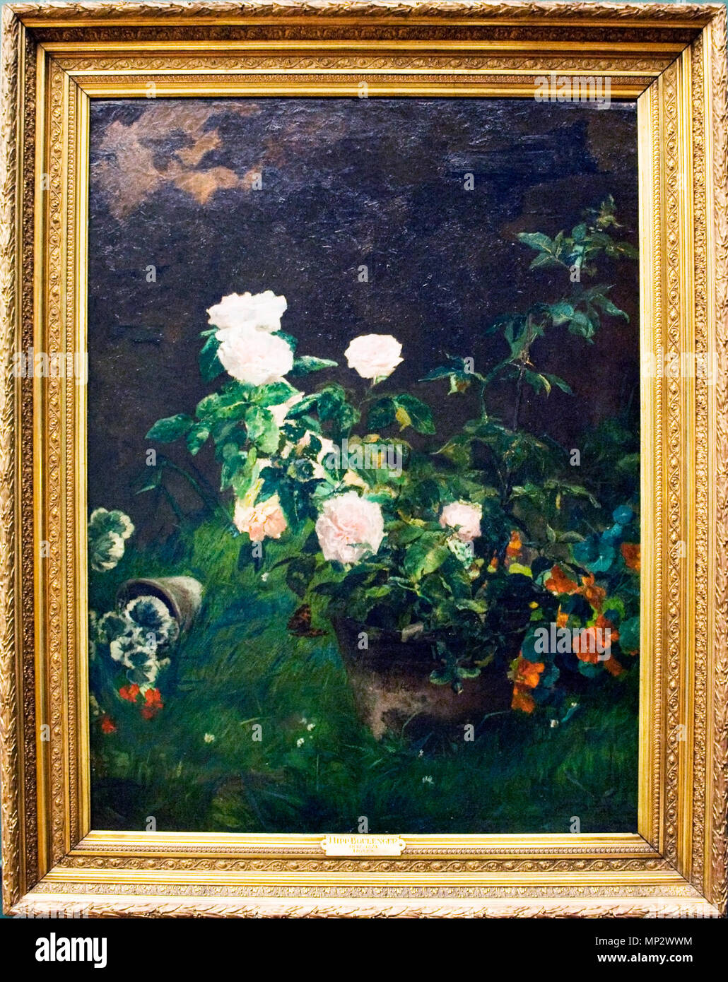 Englisch: Rosen Datum unbekannt. 1073 Rosen von boulenger Stockfoto