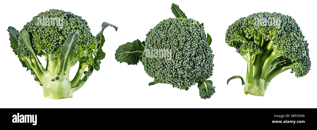 Brokkoli isoliert auf weißem Hintergrund Stockfoto