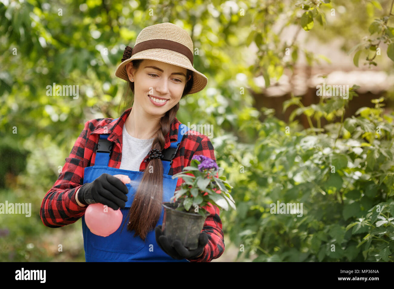 Glückliche junge Frau Gärtner in Arbeit Kleidung Sprühen von Pestiziden oder Wasser auf Blumen im Topf. Gartenbau und Pflege der Pflanzen als Hobby Konzept Stockfoto